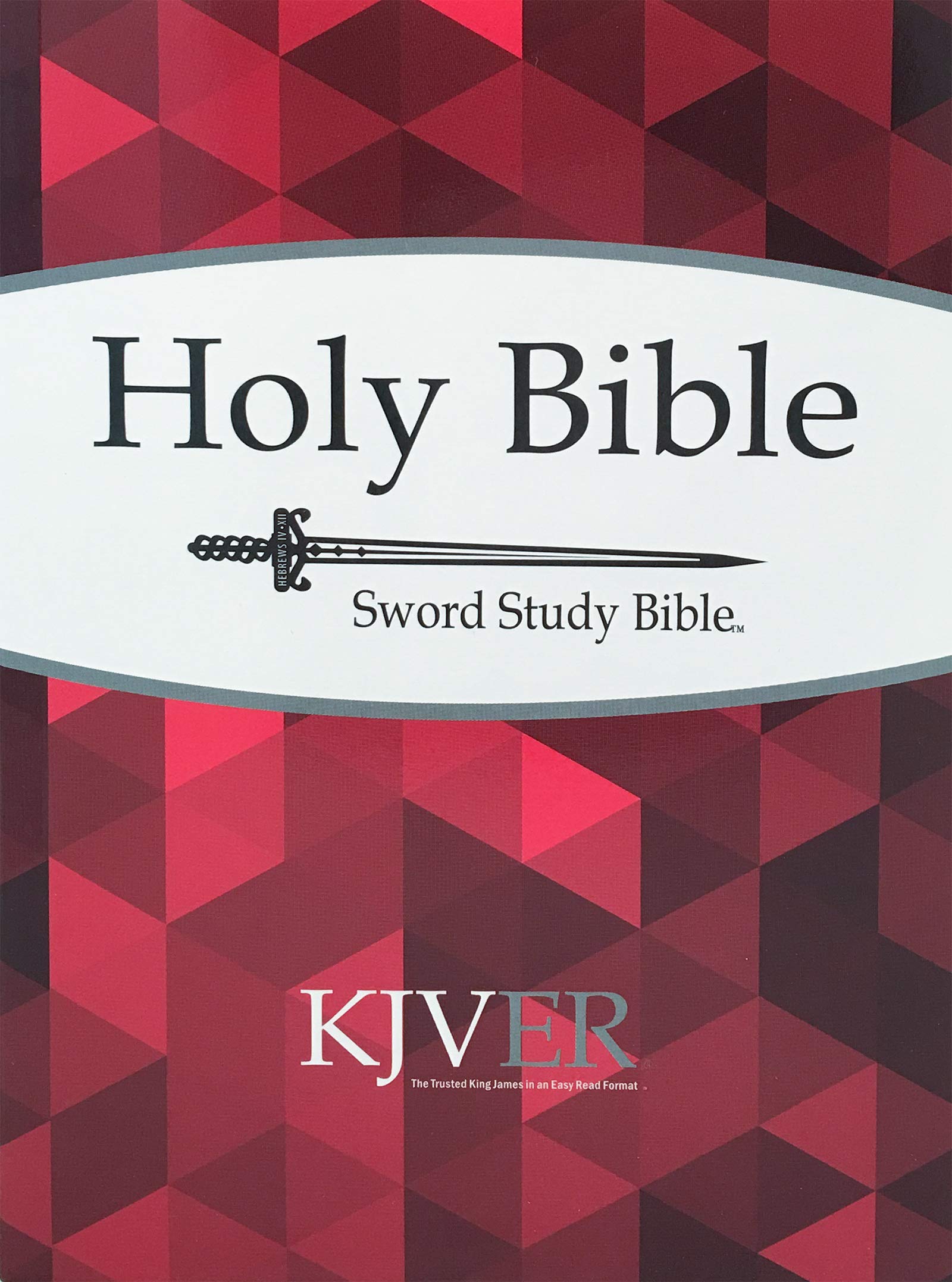 KJVER Sword Study Bible Personal Size Large Print Softcover: King James Version Easy Read,Used