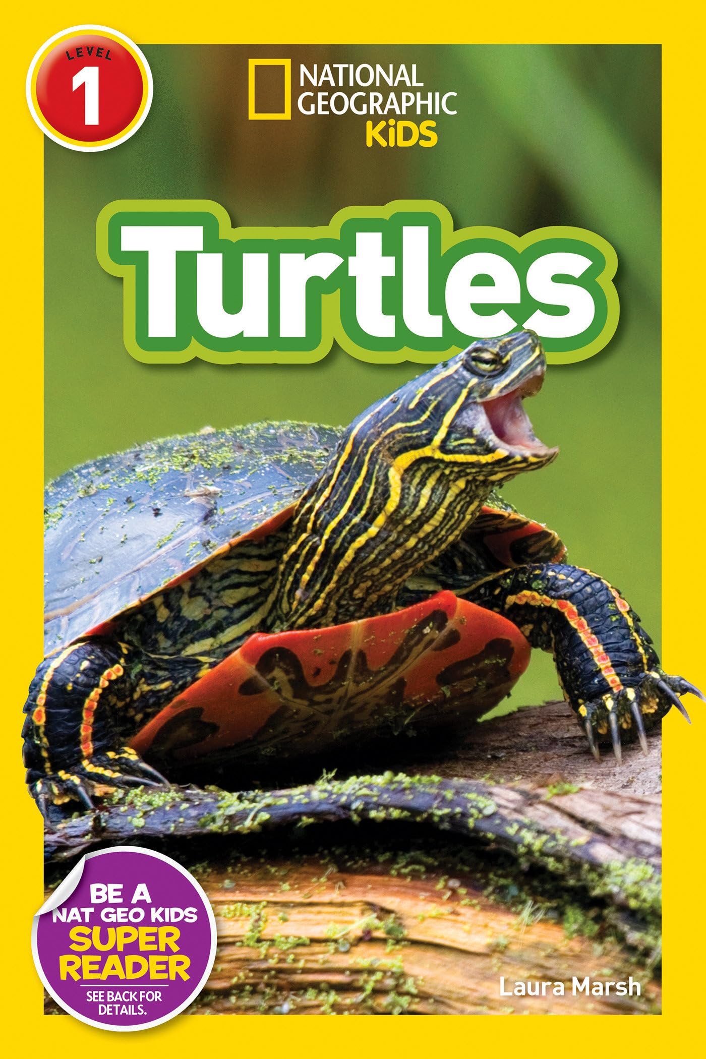 Turtles (National Geographic Kids Readers, Level 1),New