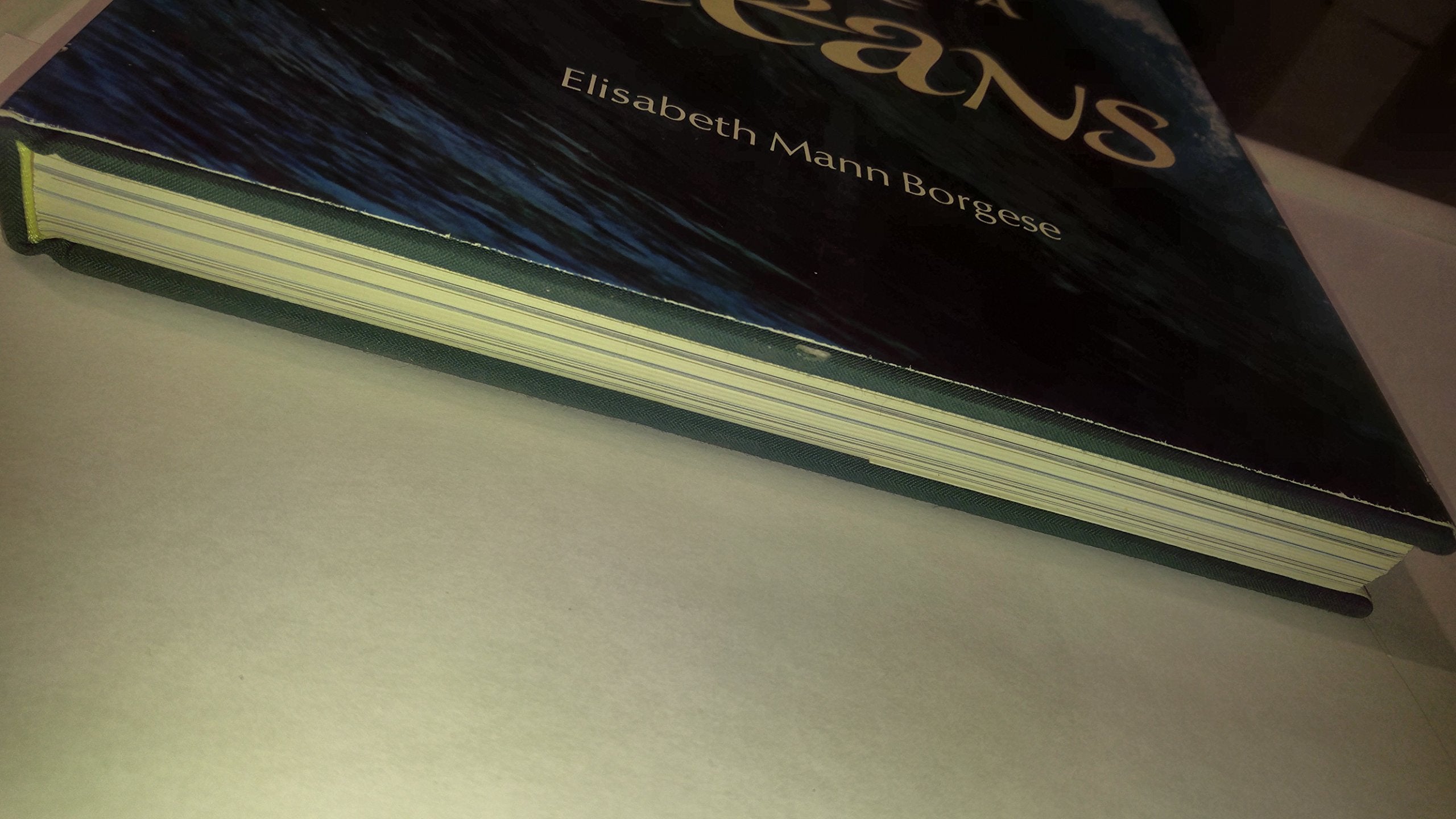 The Book of Doll Making: A Comprehensive Project Book Reference to Making Traditional and Innovative Dolls,Used