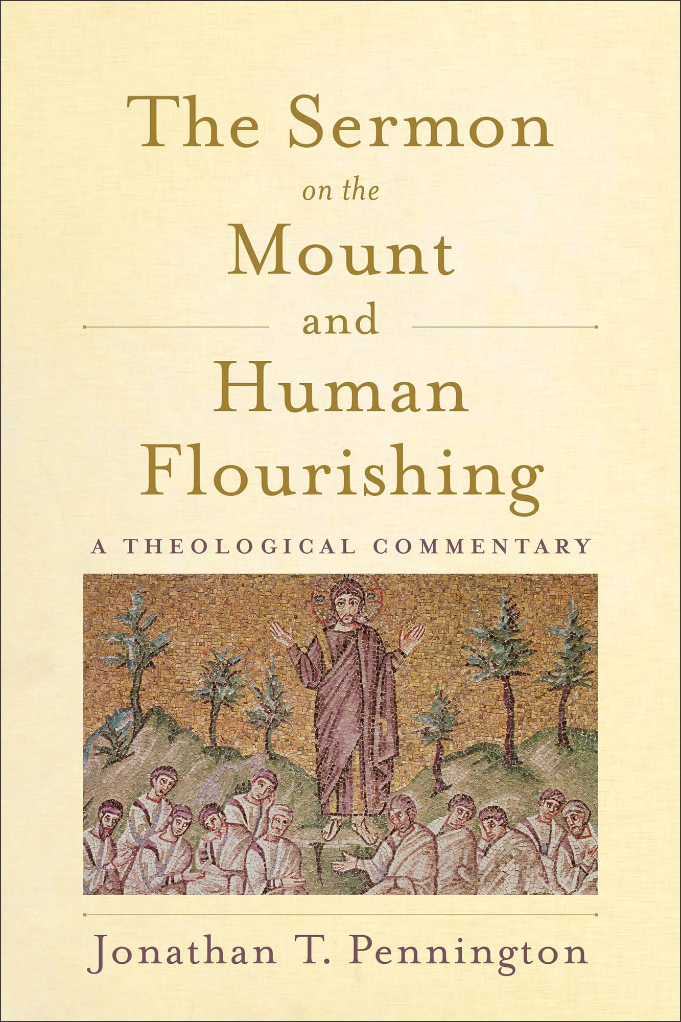 The Sermon on the Mount and Human Flourishing: A Theological Commentary,Used