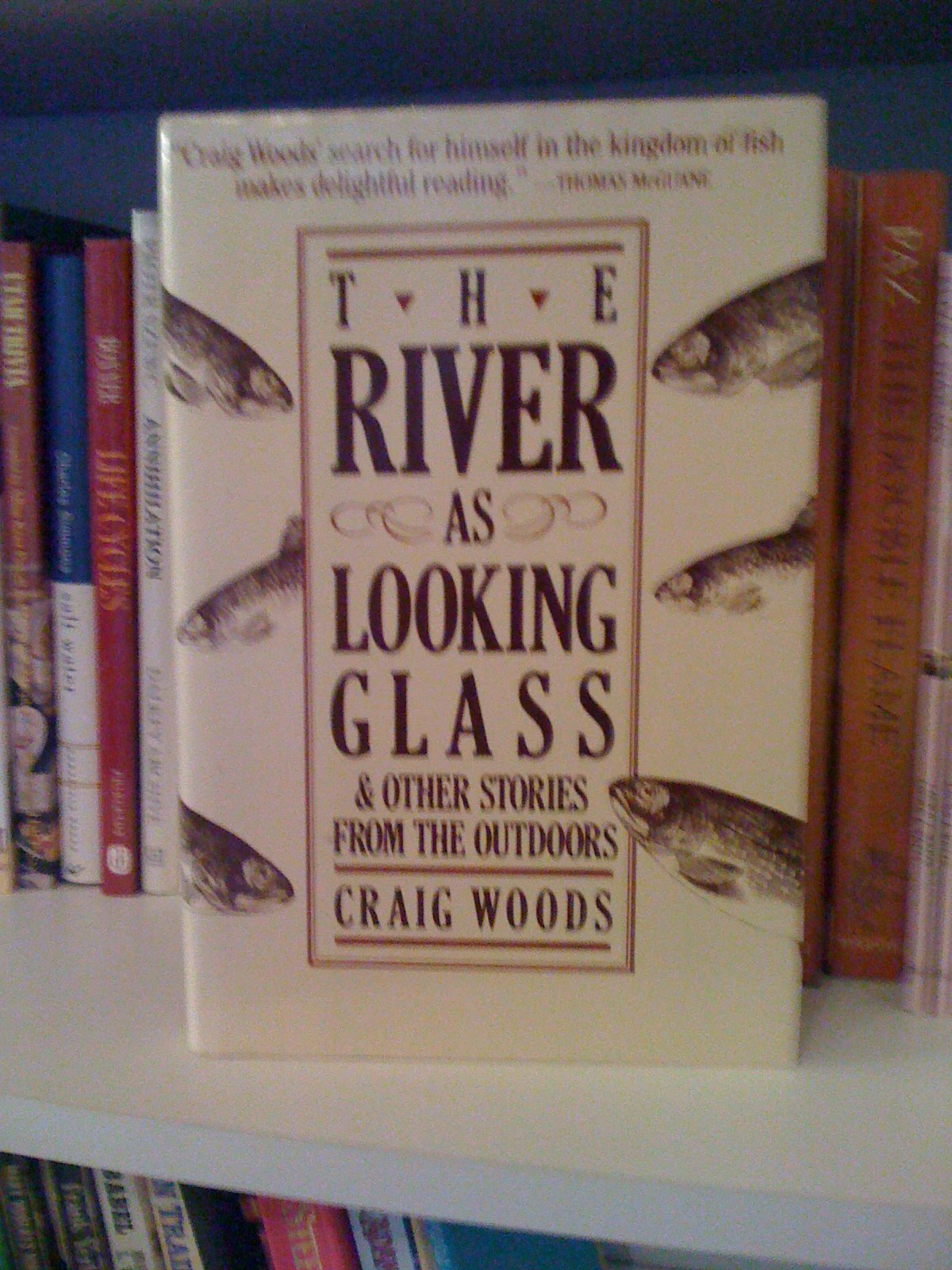 The River As Looking Glass: And Other Stories From The Outdoors-used