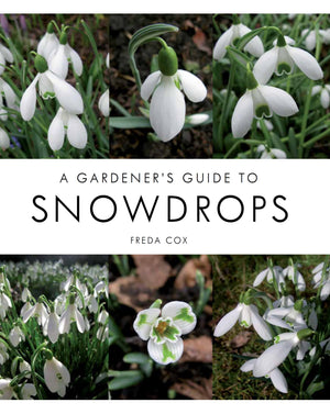 A Gardener's Guide to Snowdrops,Used