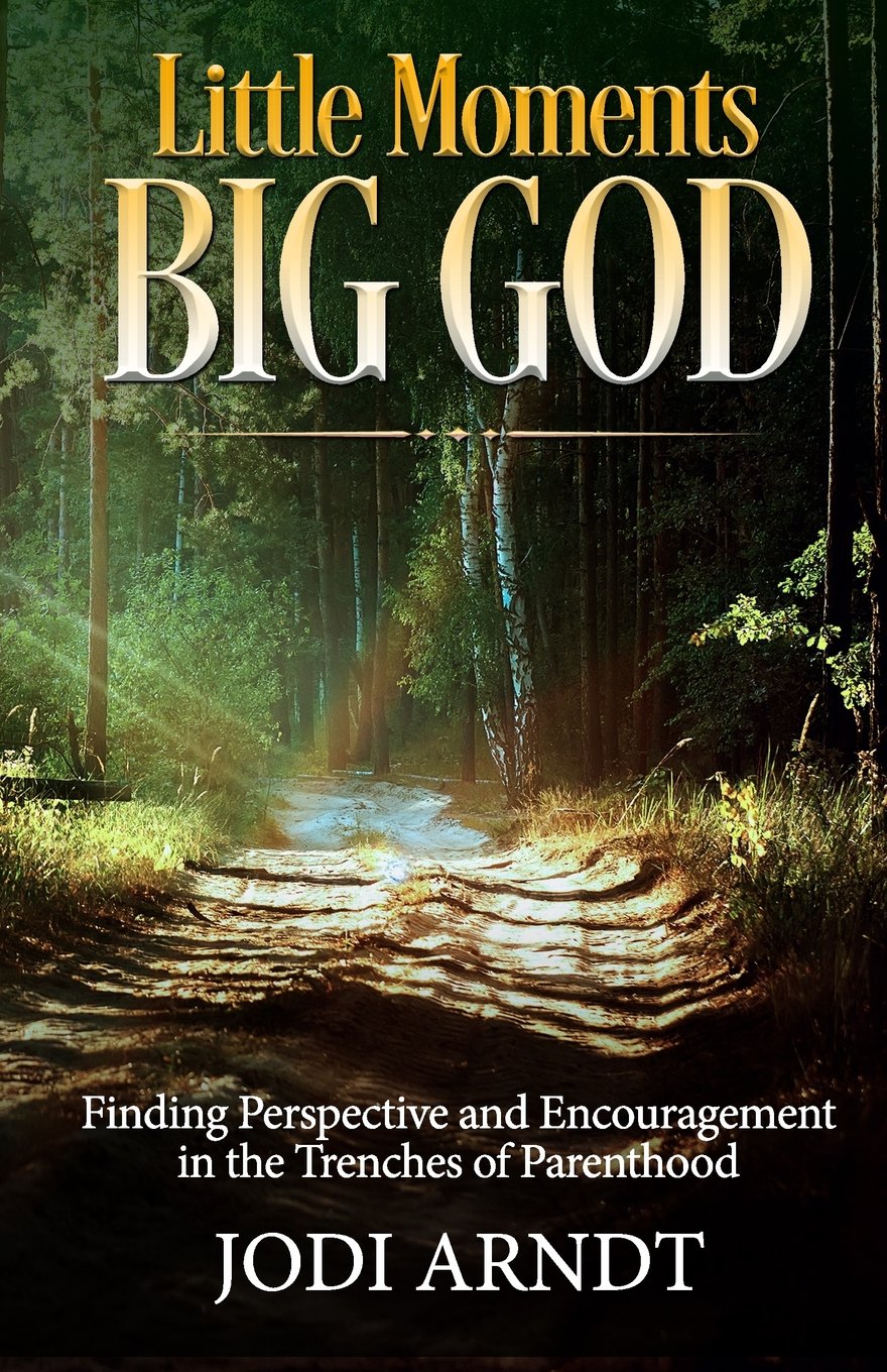 Little Moments Big God: Finding Perspective and Encouragement in the Trenches of Parenthood,Used