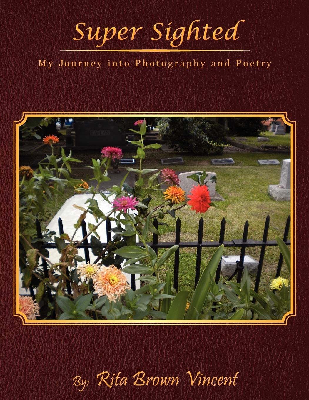 Super Sighted: My Journey Into Photography And Poetry,Used