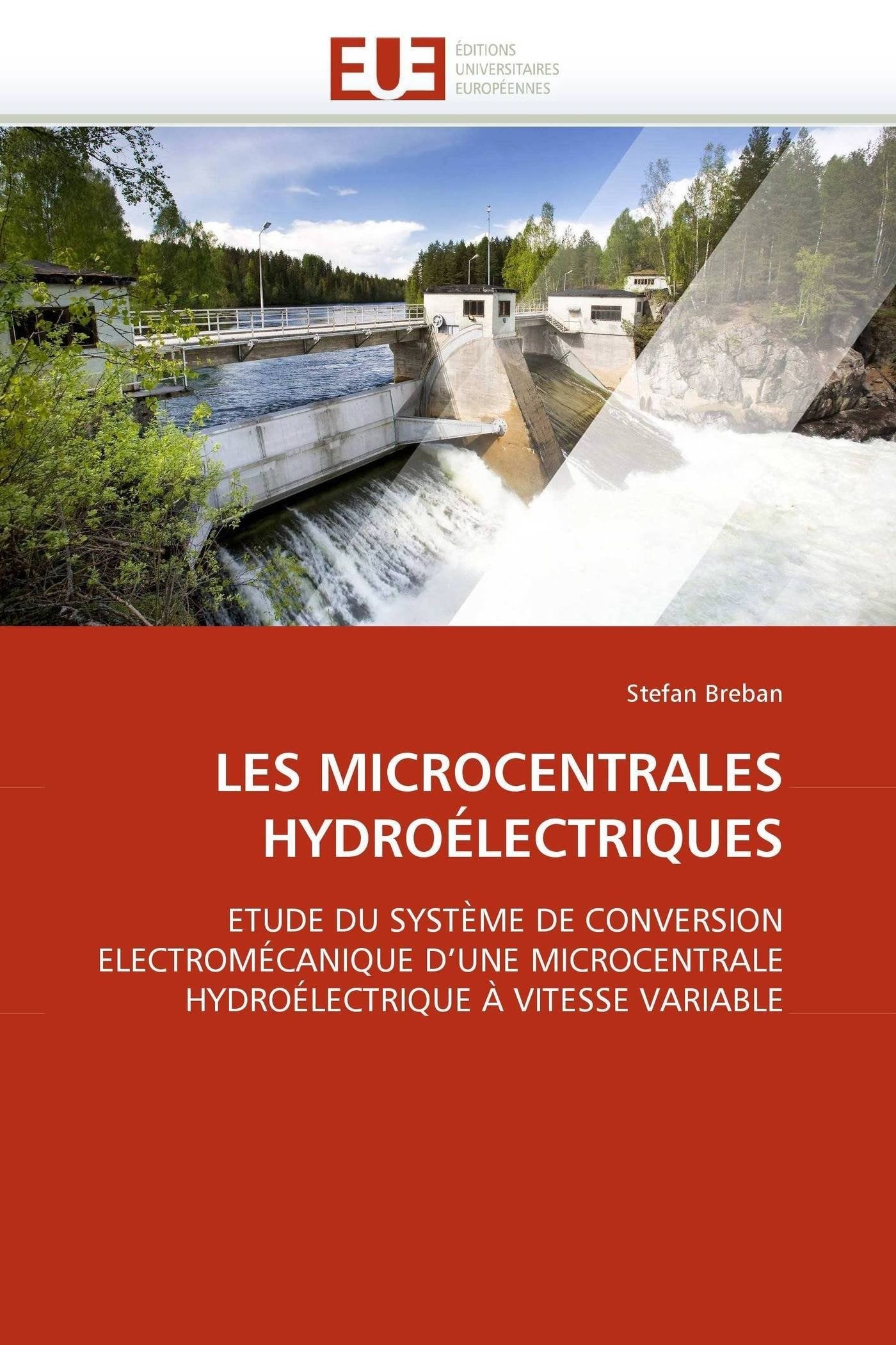 Les Microcentrales Hydrolectriques: Etude Du Systme De Conversion Electromcanique D'Une Microcentrale Hydrolectrique  Vite,Used