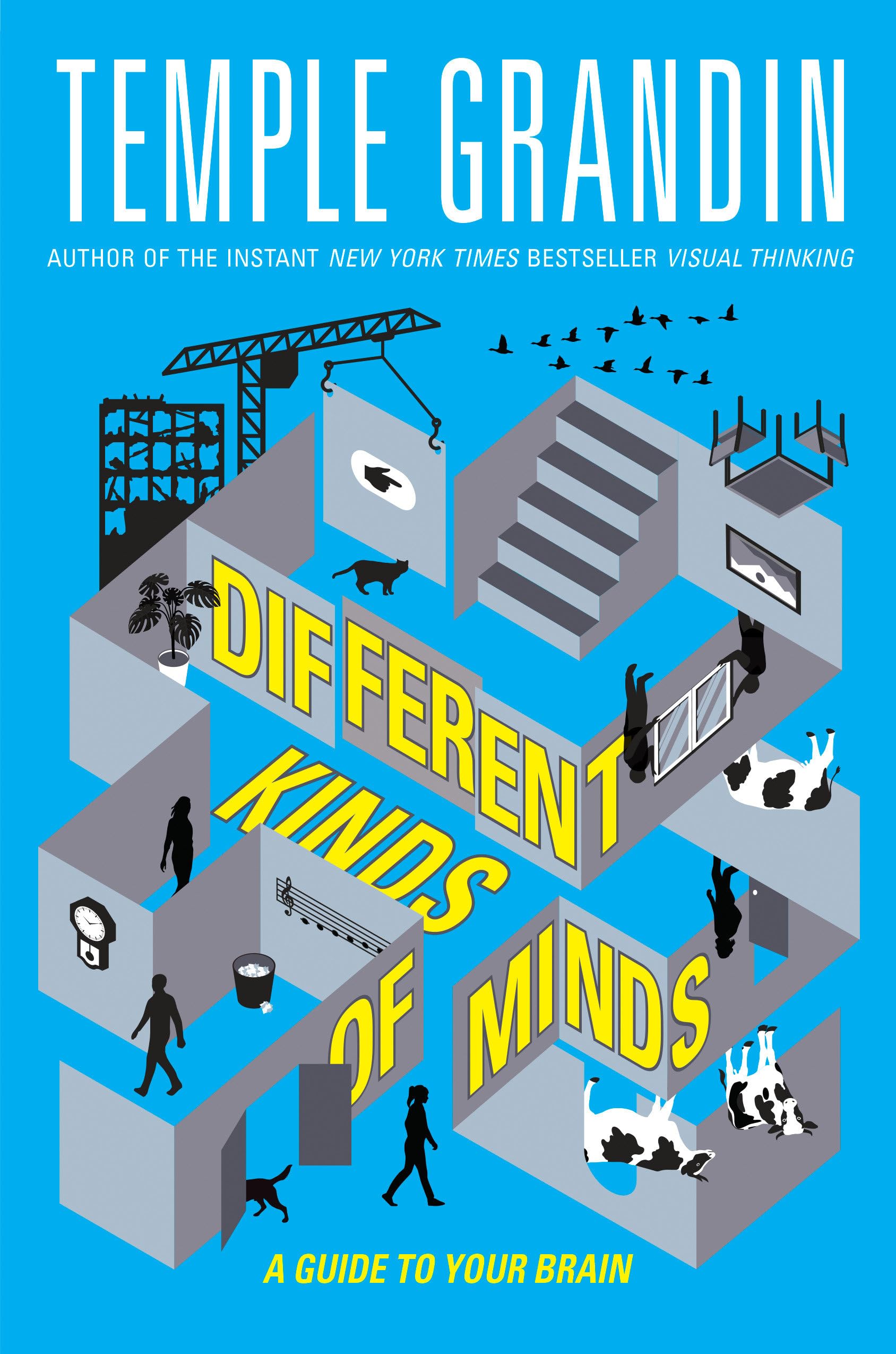 Different Kinds Of Minds: A Guide To Your Brain,Used