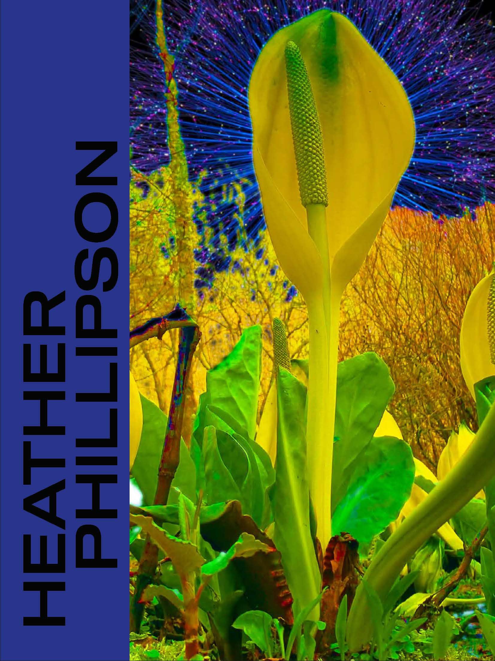 Heather Phillipson,Used