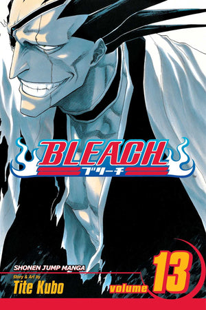 Bleach, Vol. 13,Used