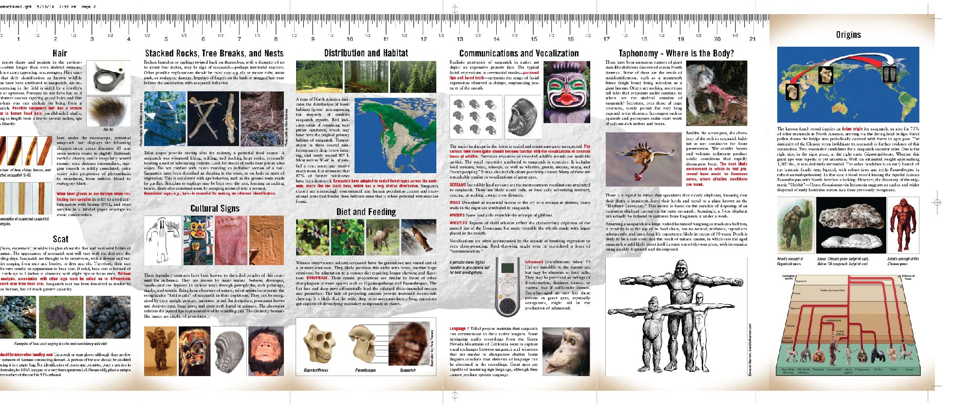 Sasquatch Field Guide,New