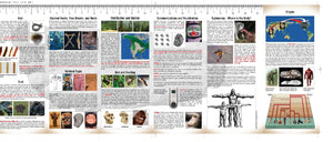 Sasquatch Field Guide,New