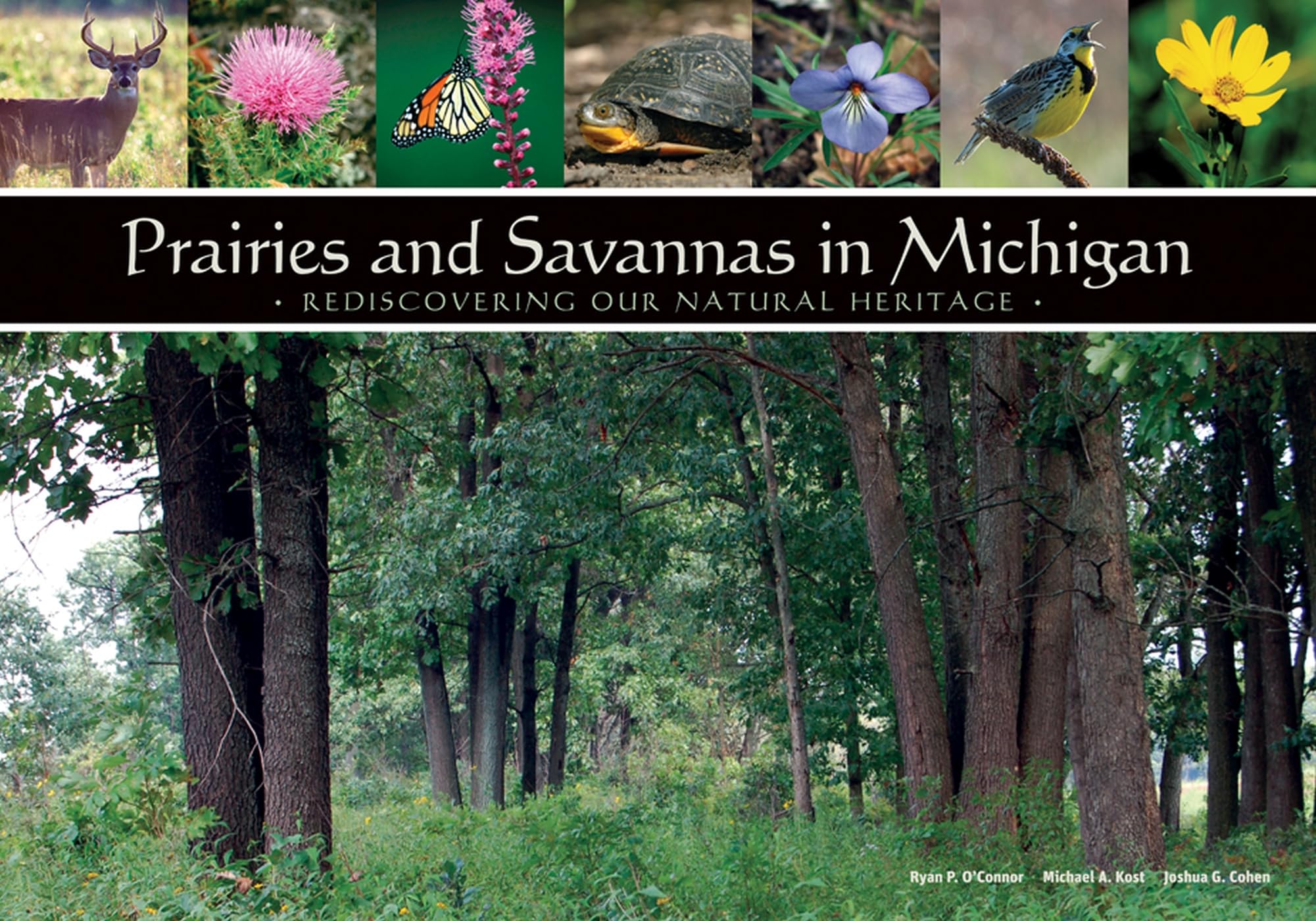 Prairies And Savannas In Michigan: Rediscovering Our Natural Heritage,Used