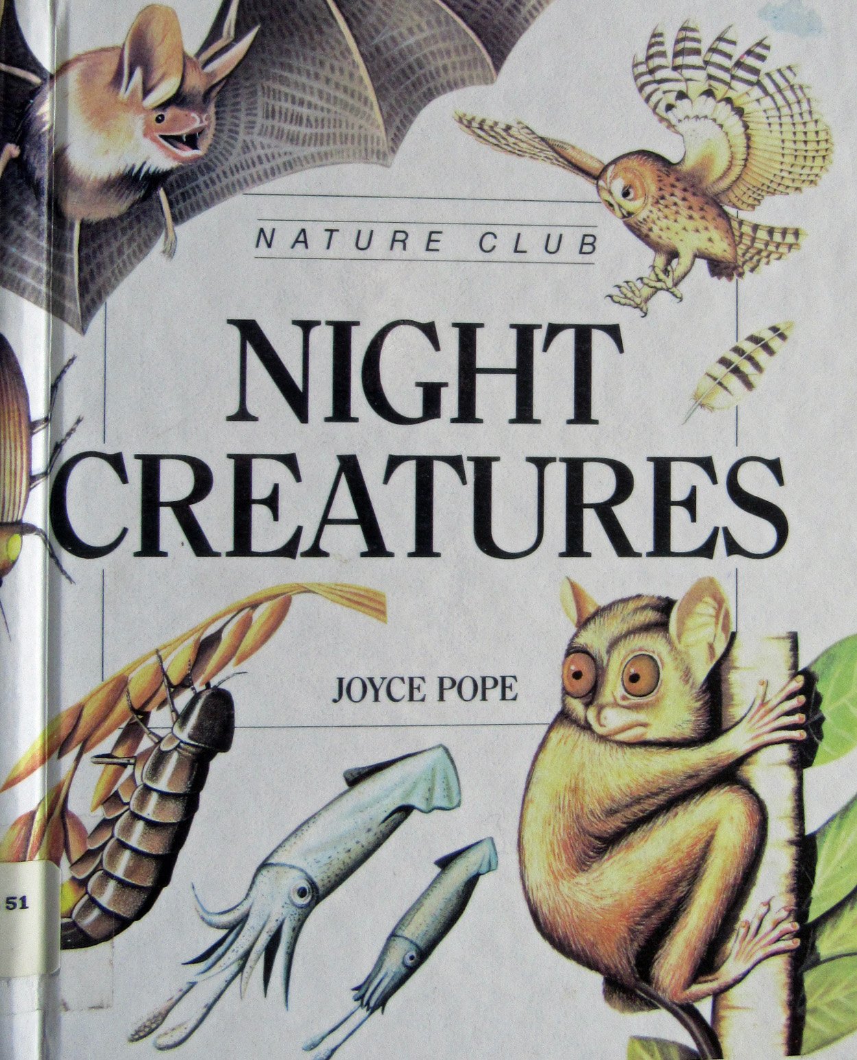 Night Creatures (Nature Club),Used
