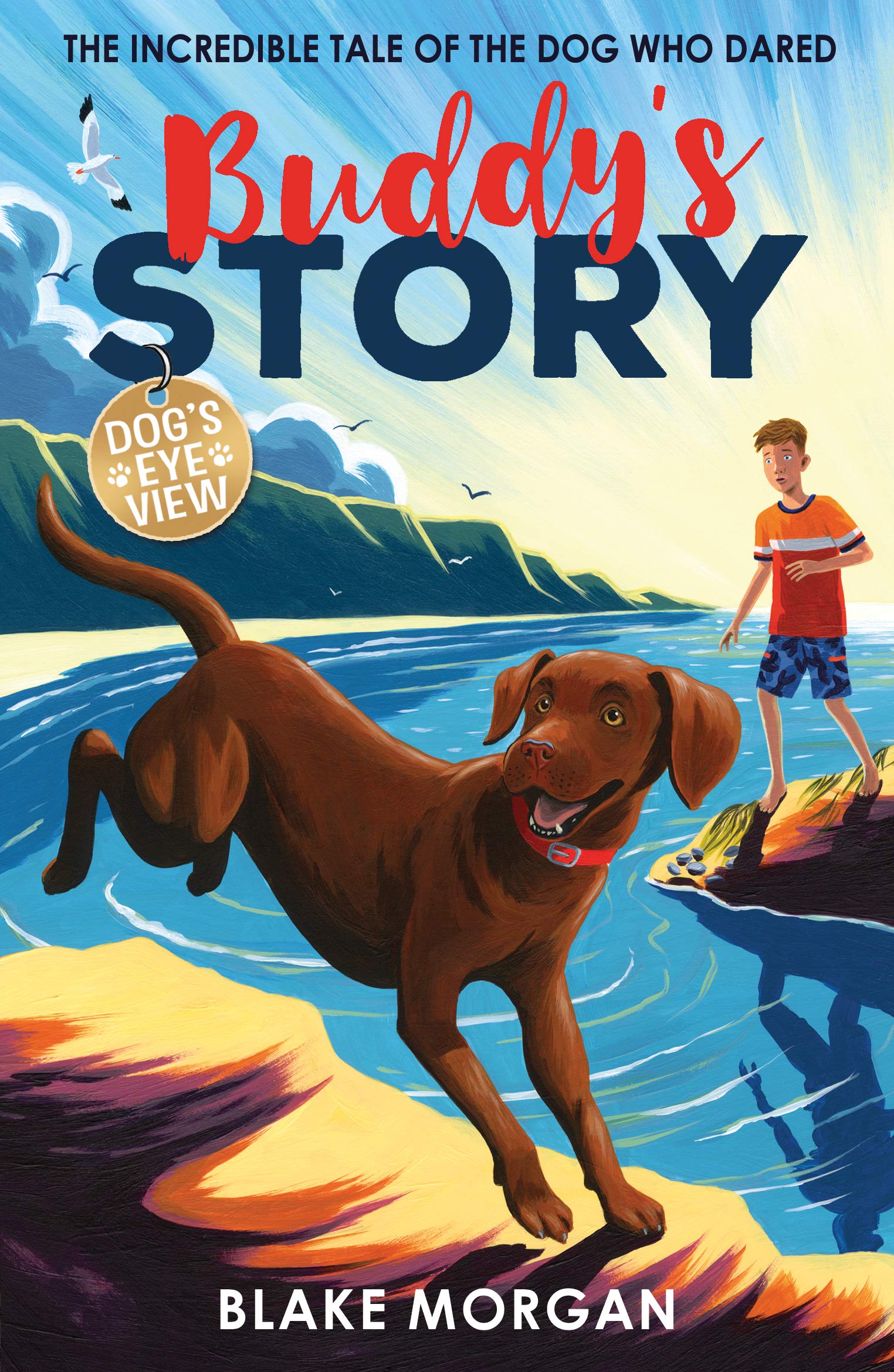 Buddy's Story (Dog's Eye View),Used