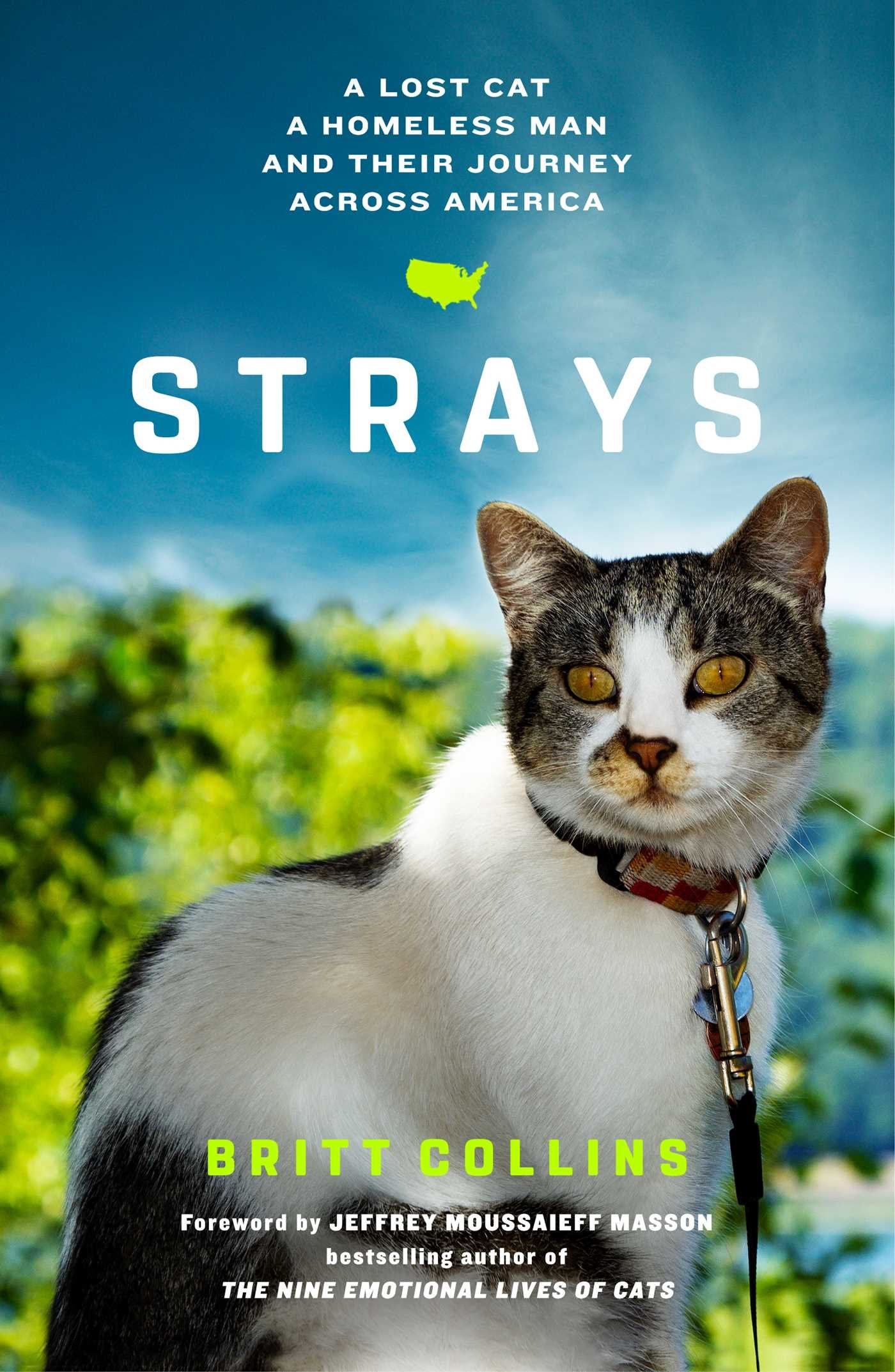 Strays: A Lost Cat, a Homeless Man, and Their Journey Across America,Used