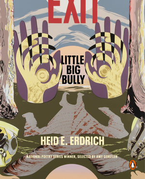 Little Big Bully (Penguin Poets),Used