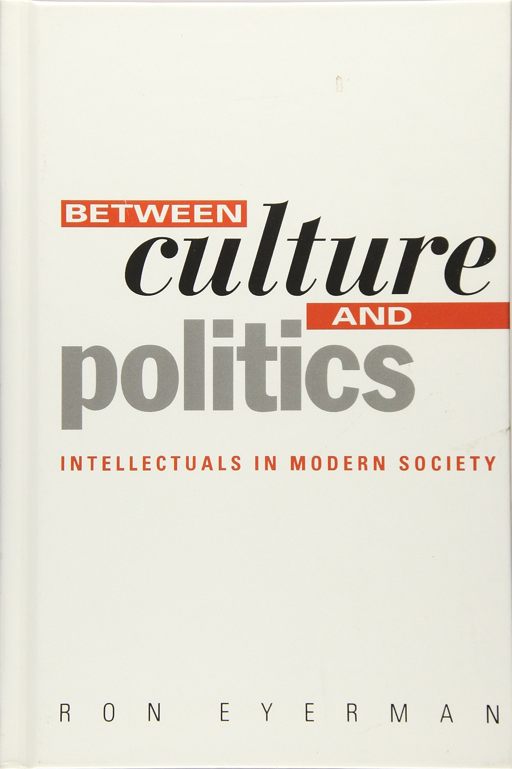 Between Culture and Politics: Intellectuals in Modern Society,Used