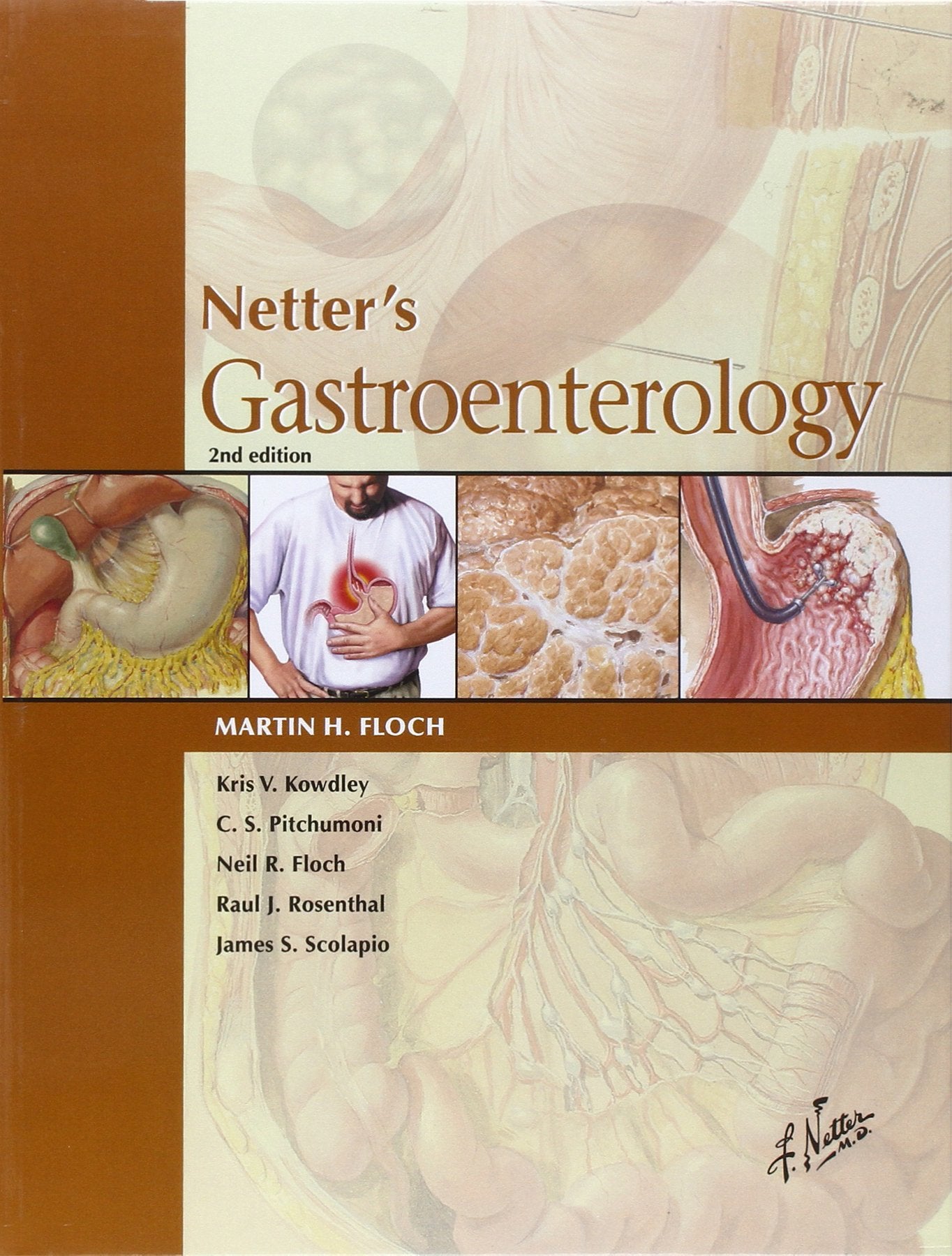 Netter's Gastroenterology (Netter Clinical Science),Used