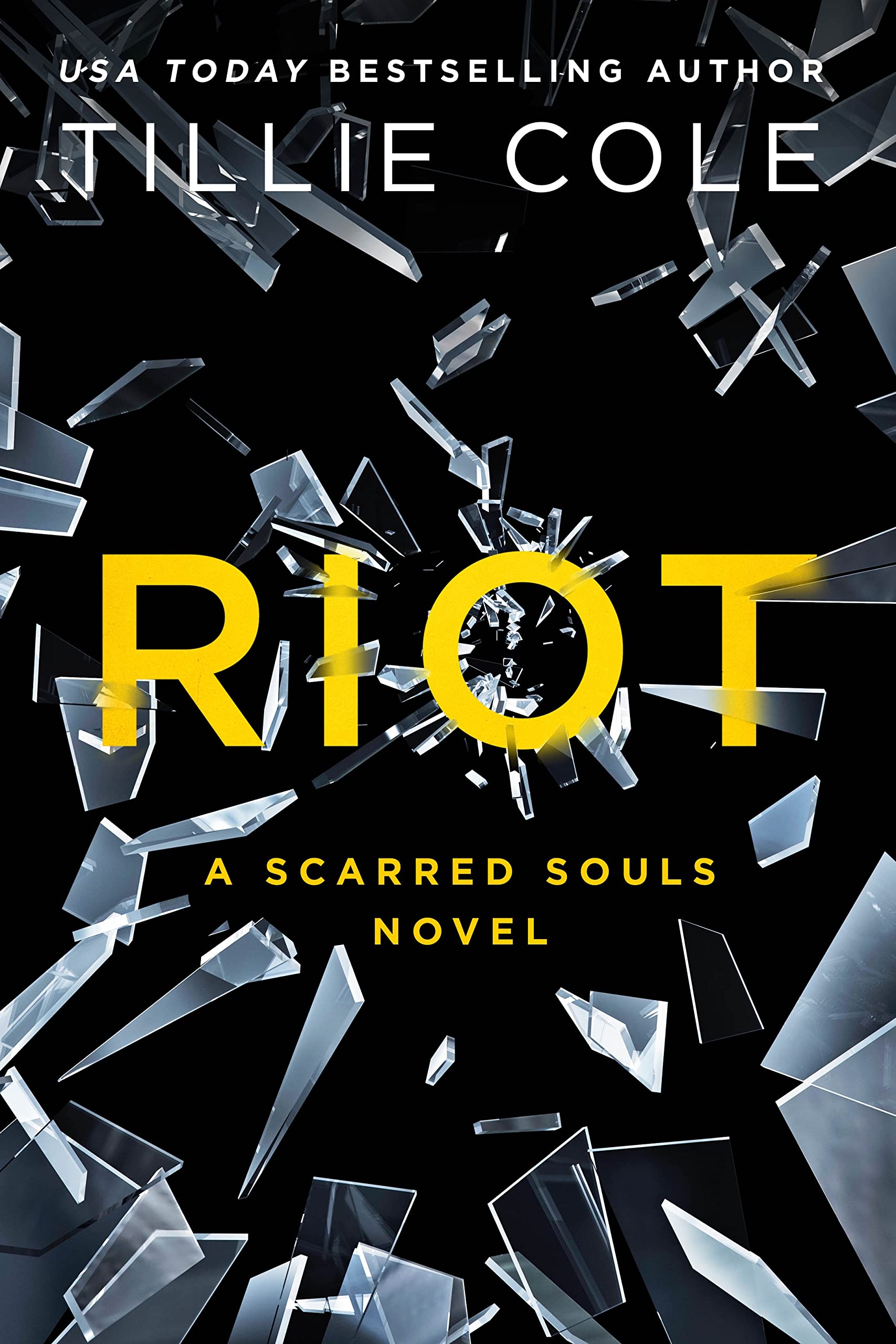 Riot: A Scarred Souls Novel (Scarred Souls, 4),Used