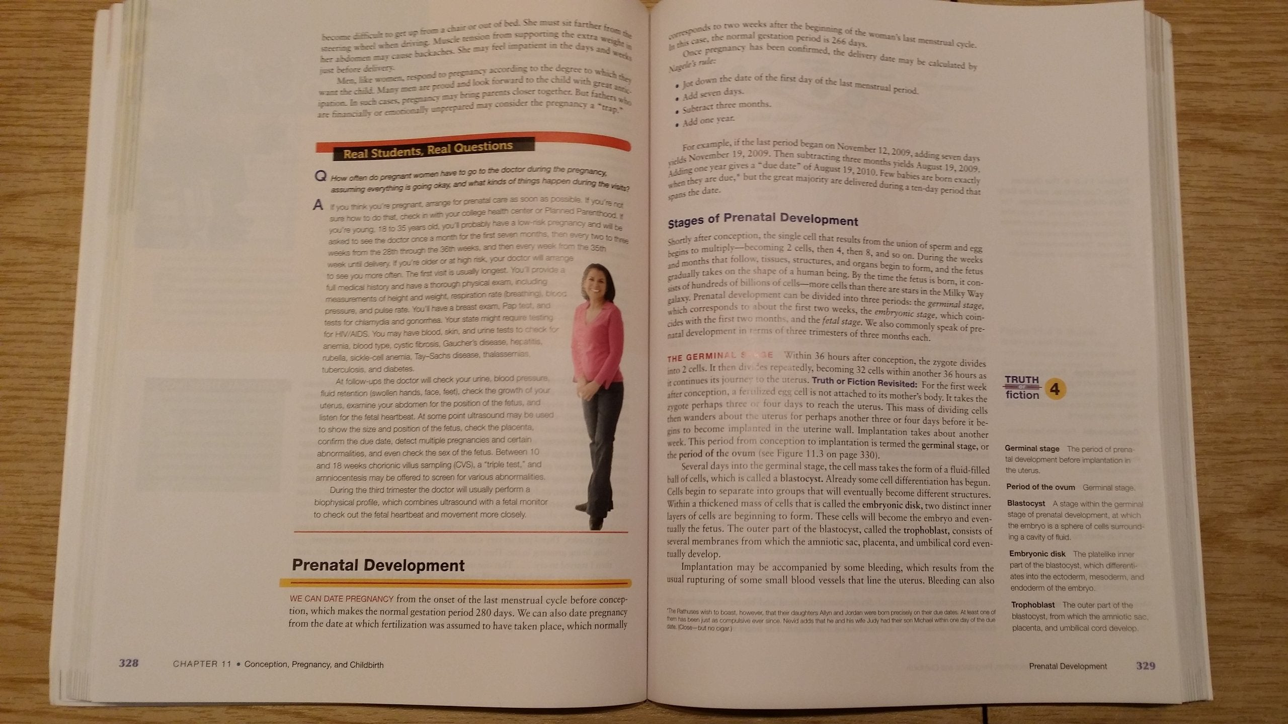 Human Sexuality In World Of Diversity