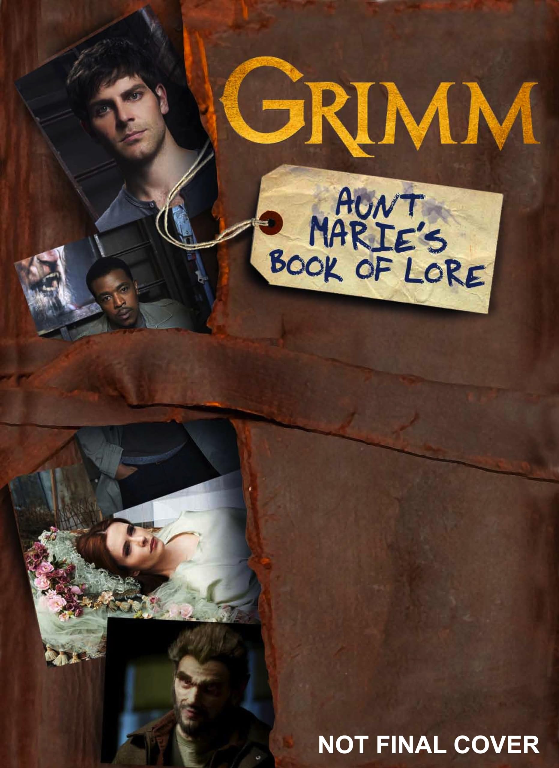 Grimm: Aunt Marie'S Book Of Lore