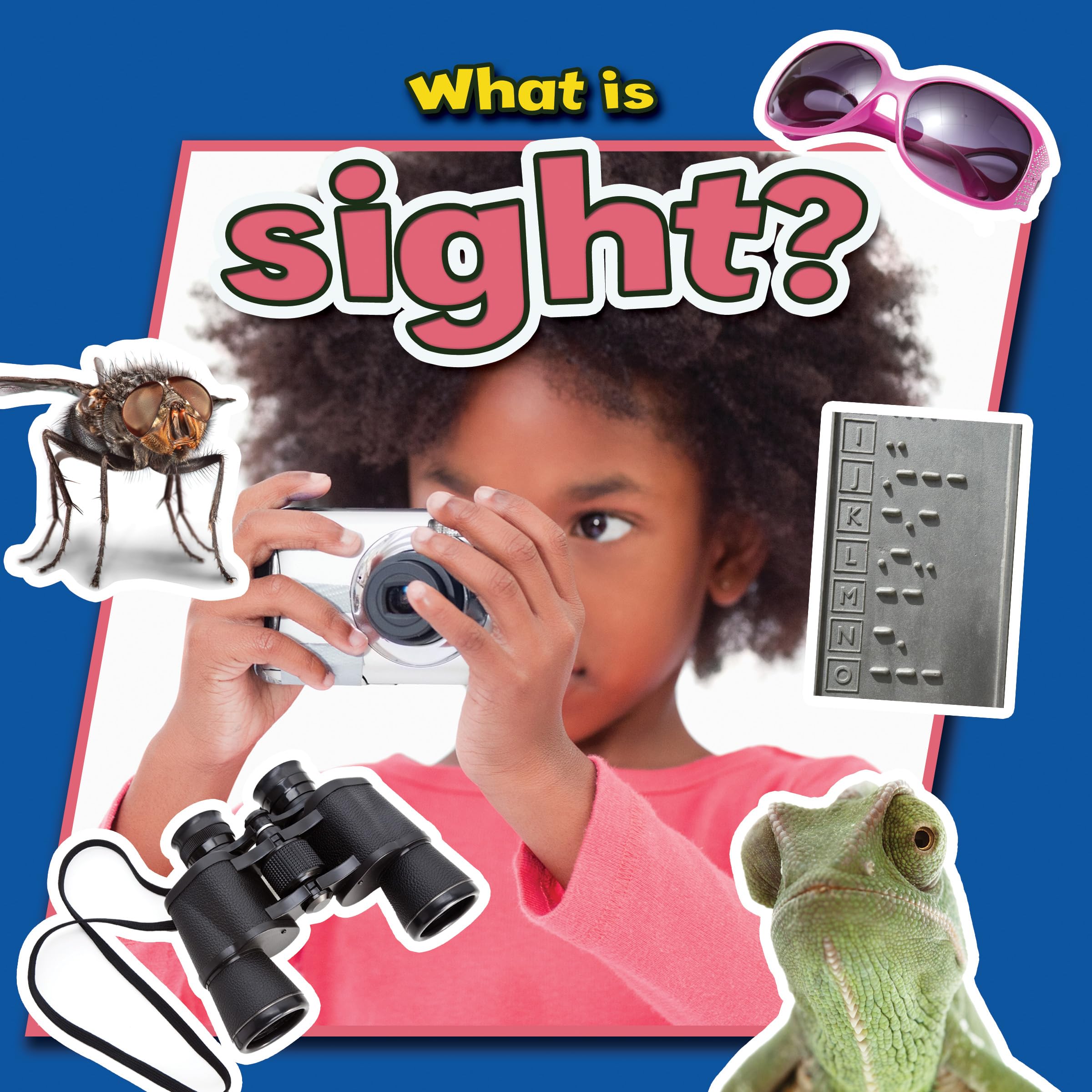 What Is Sight? (Senses CloseUp),Used