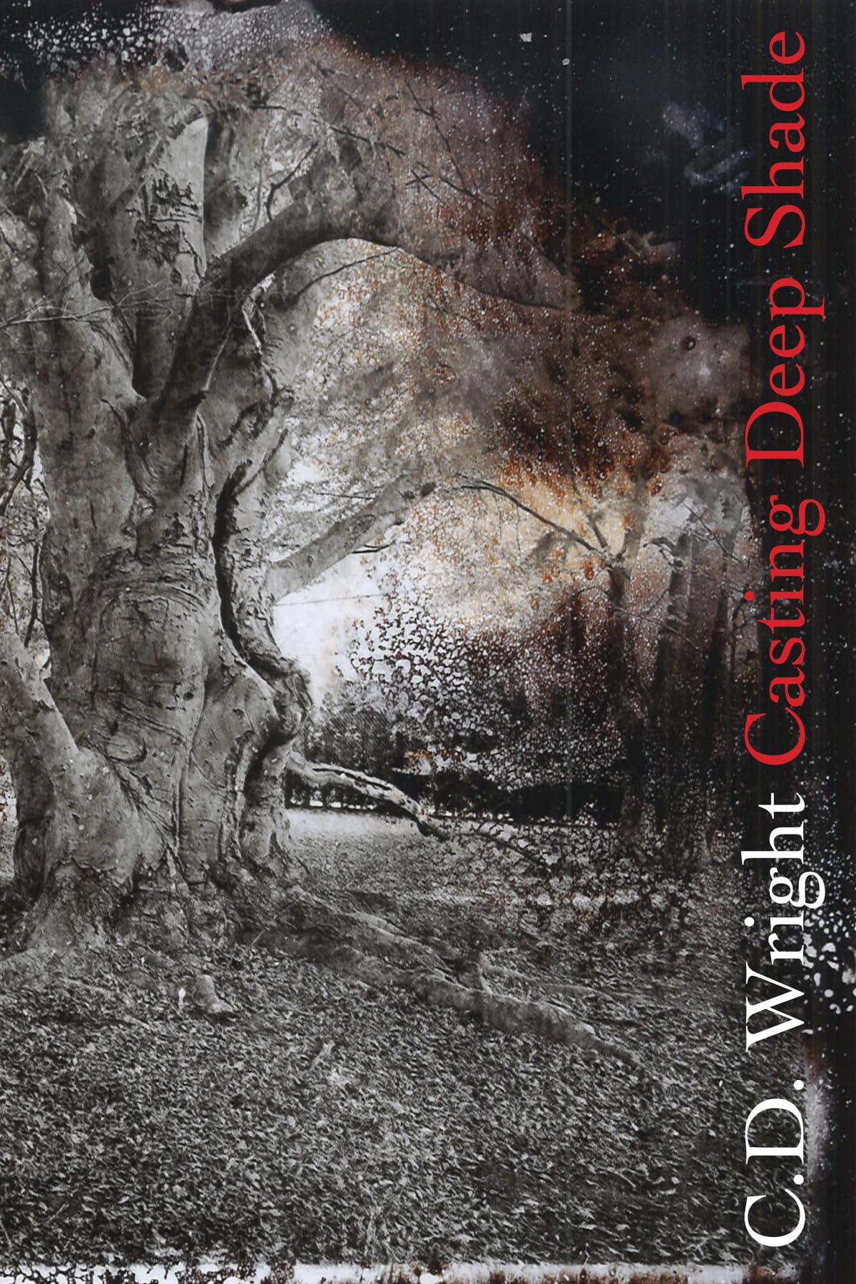 Casting Deep Shade: An Amble,Used