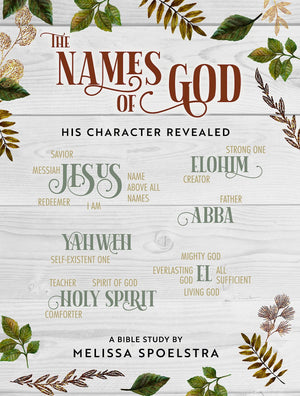 The Names Of God  Women'S Bible Study Participant Workbook: His Character Revealed