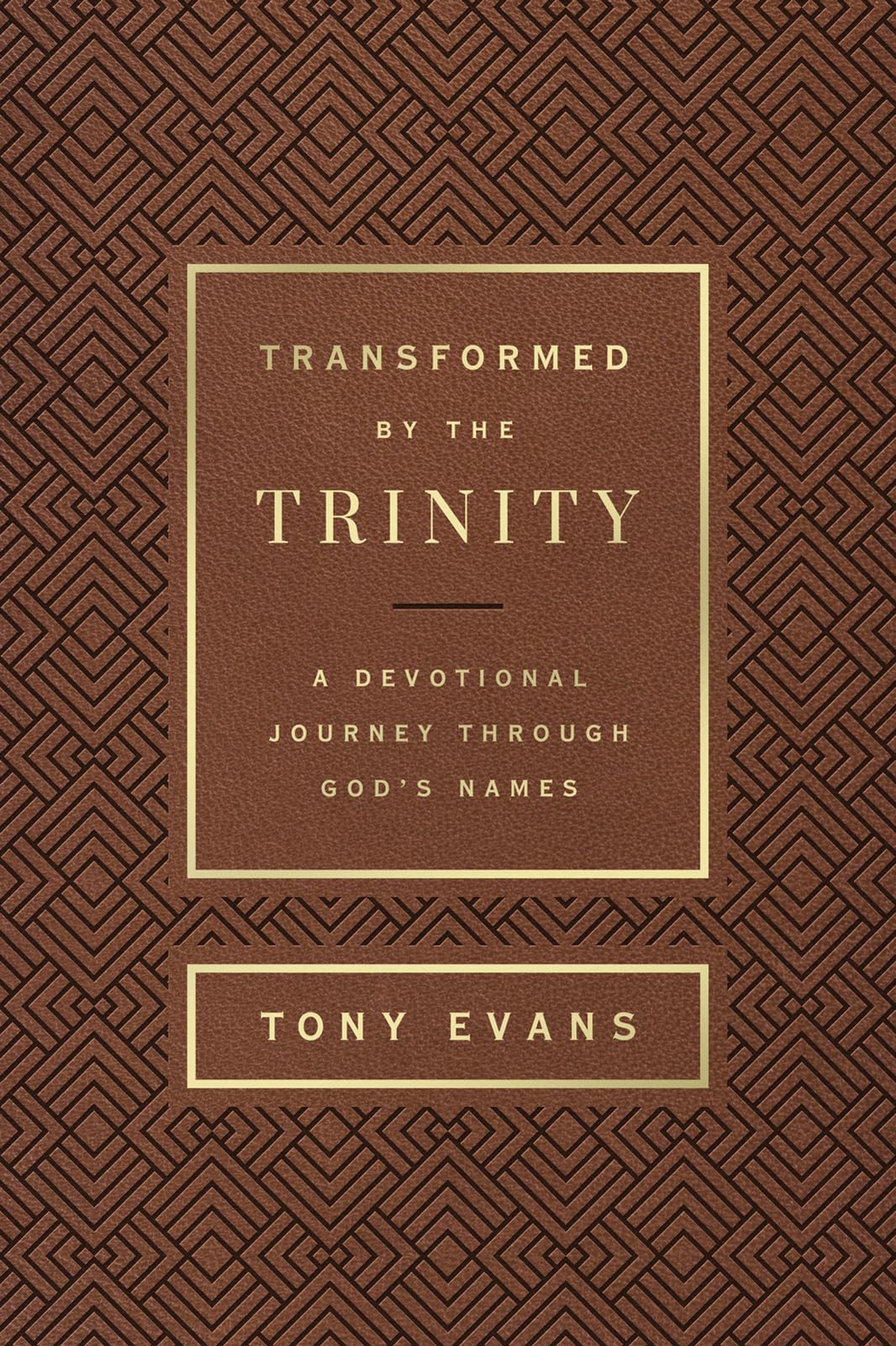 Transformed By The Trinity (Milano Softone): A Devotional Journey Through God'S Names (The Names Of God Series),Used