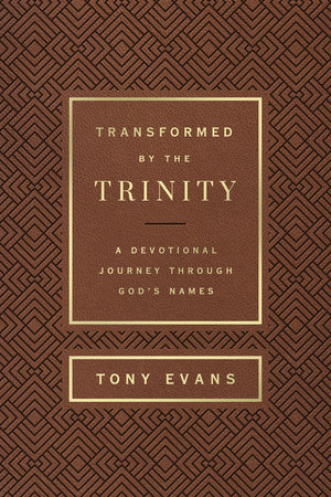 Transformed By The Trinity (Milano Softone): A Devotional Journey Through God'S Names (The Names Of God Series),Used
