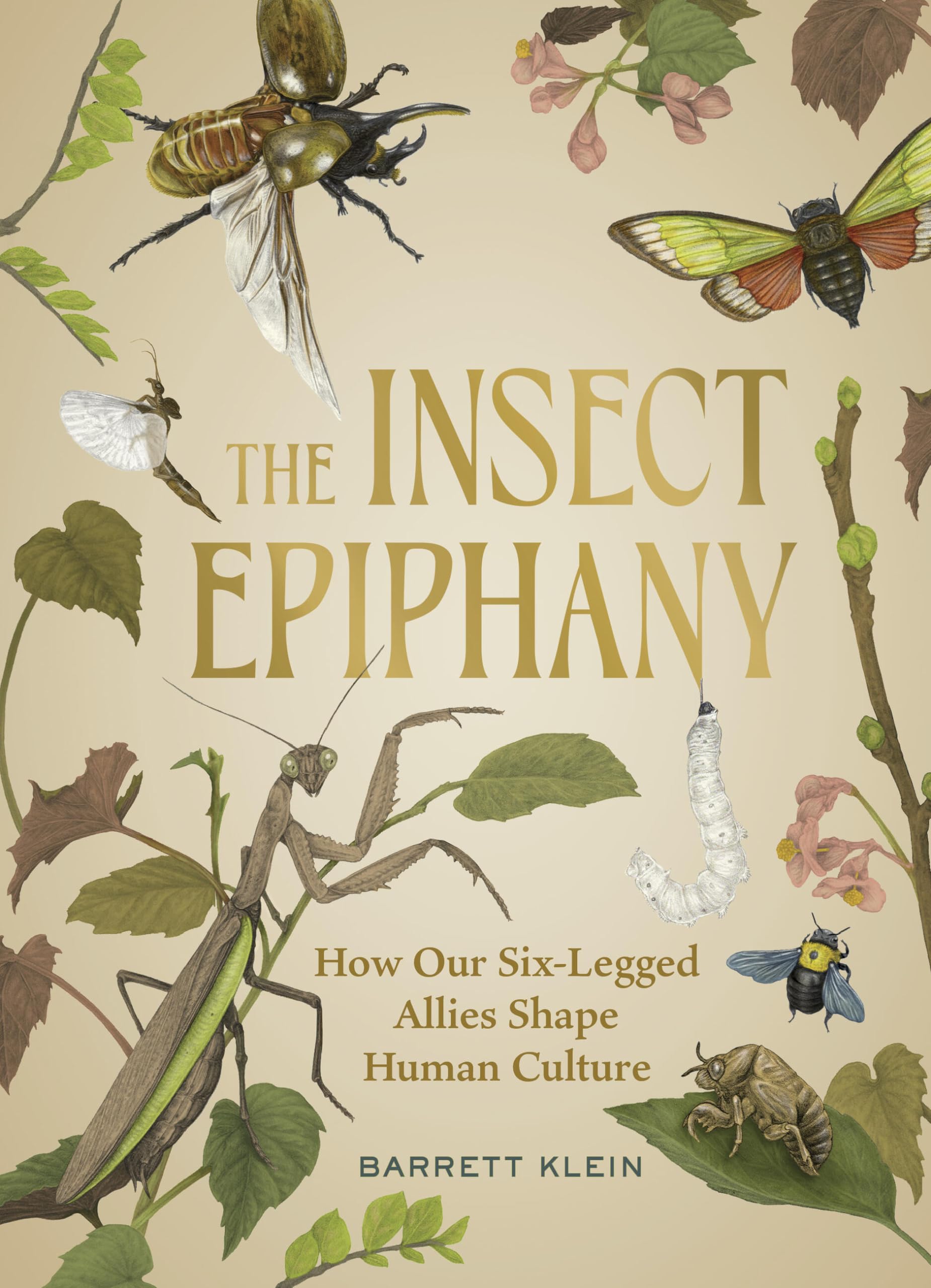 The Insect Epiphany: How Our SixLegged Allies Shape Human Culture