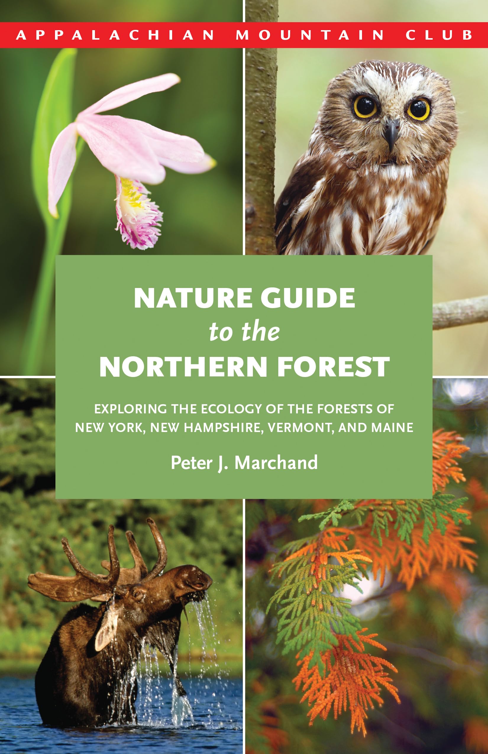 Nature Guide to the Northern Forest: Exploring The Ecology Of The Forests Of New York, New Hampshire, Vermont, And Maine,New