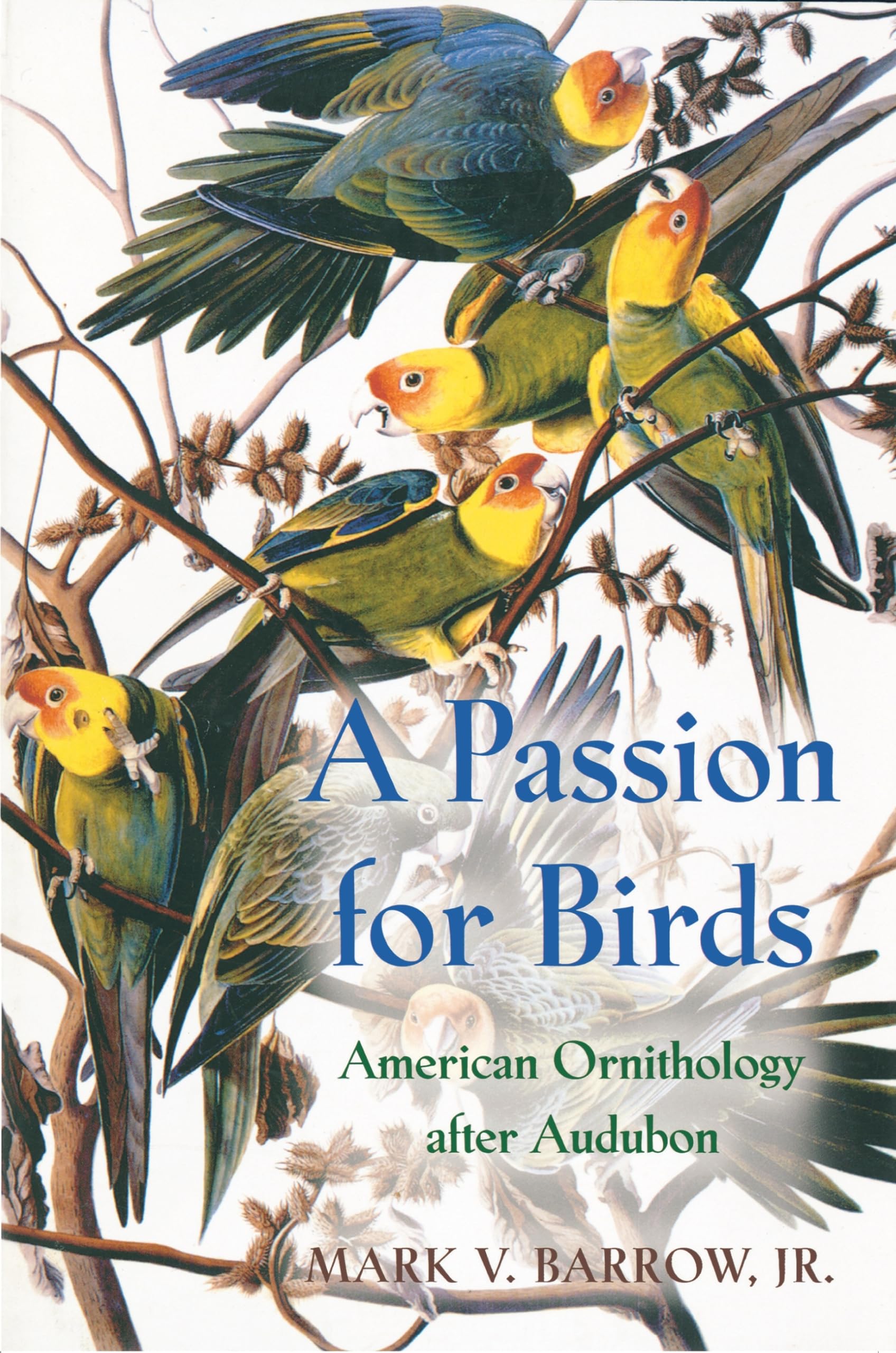 A Passion for Birds,Used