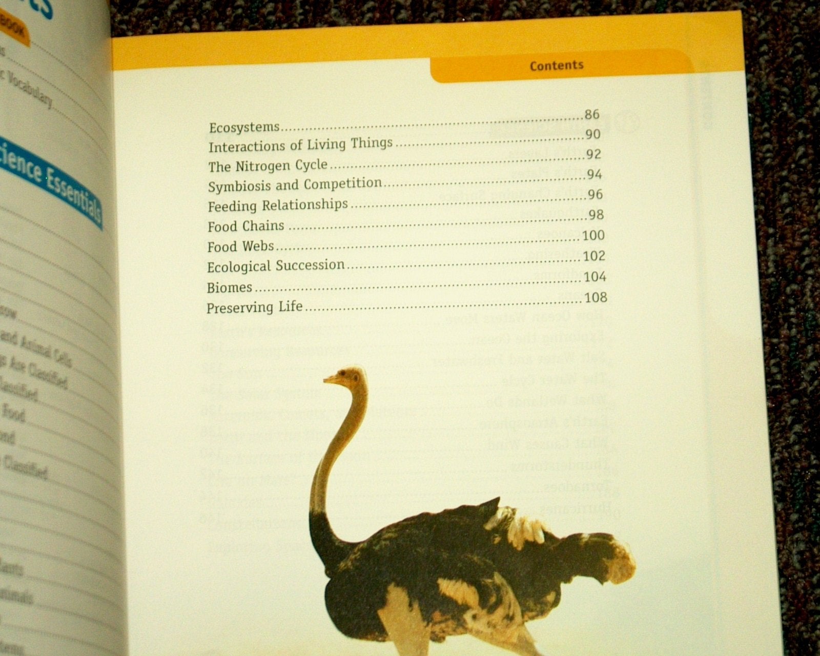 Content Essentials for Science: Vocabulary, Content, Literacy Student Handbook Level C,Used