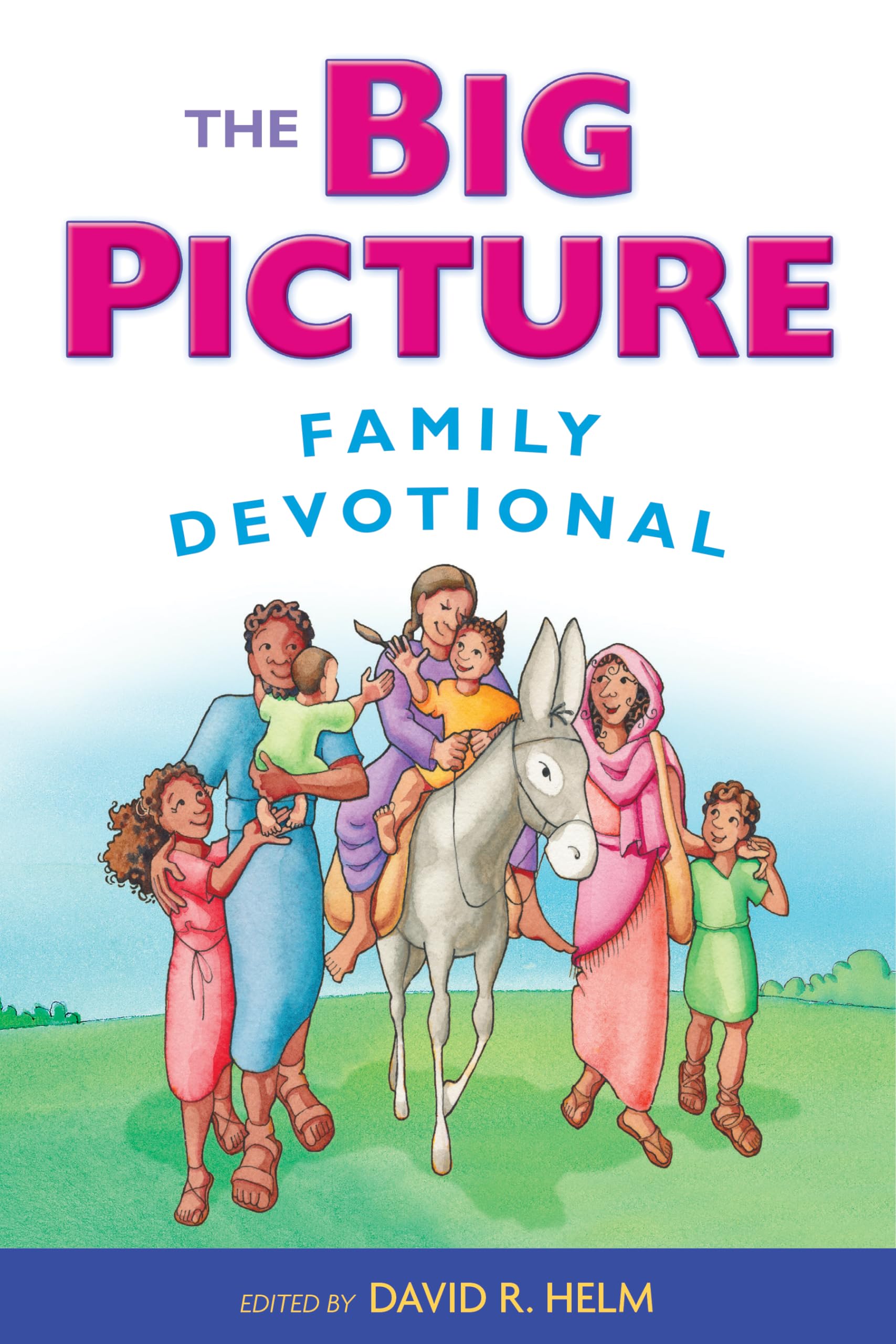 The Big Picture Family Devotional,Used