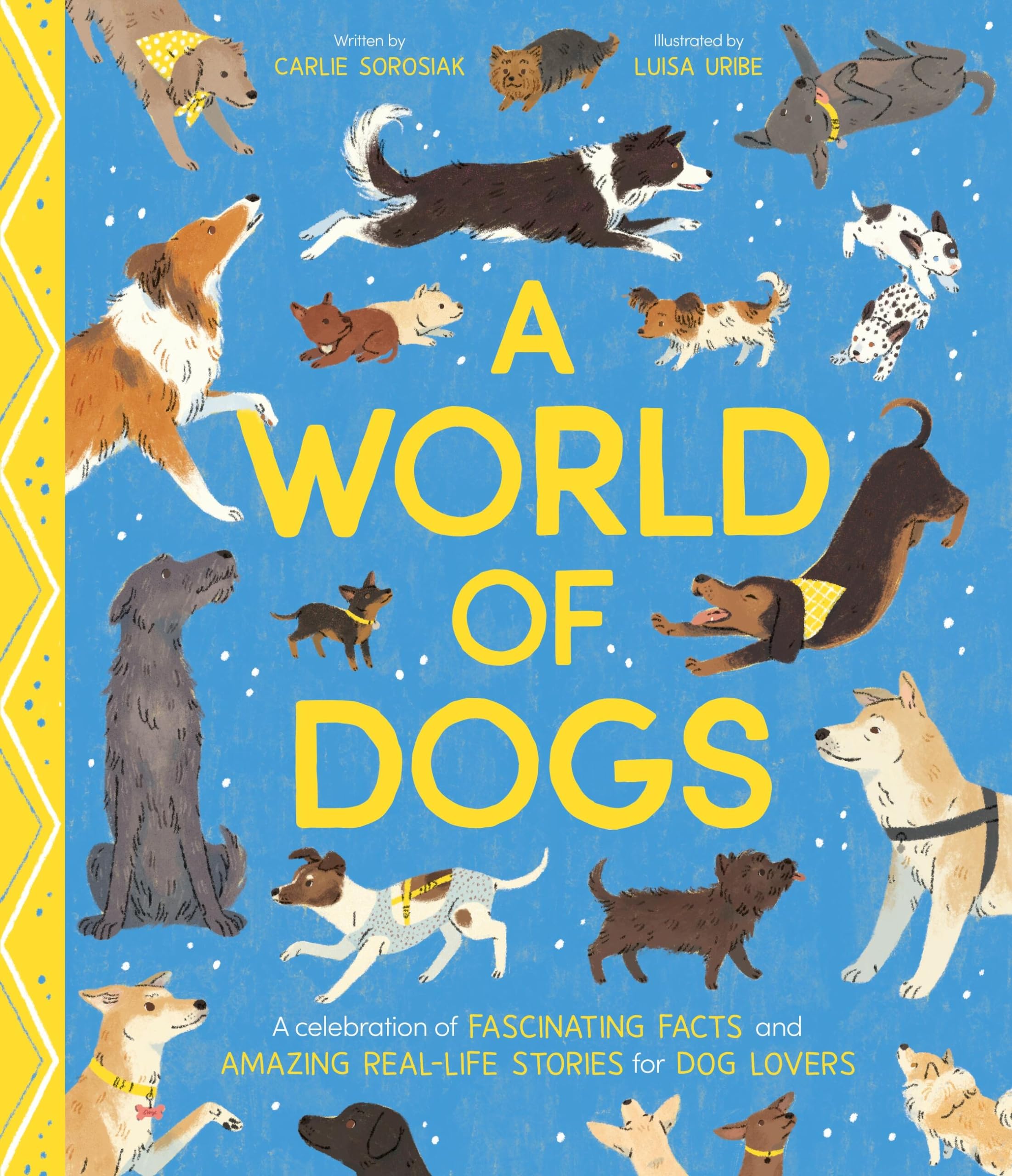 WORLD OF DOGS