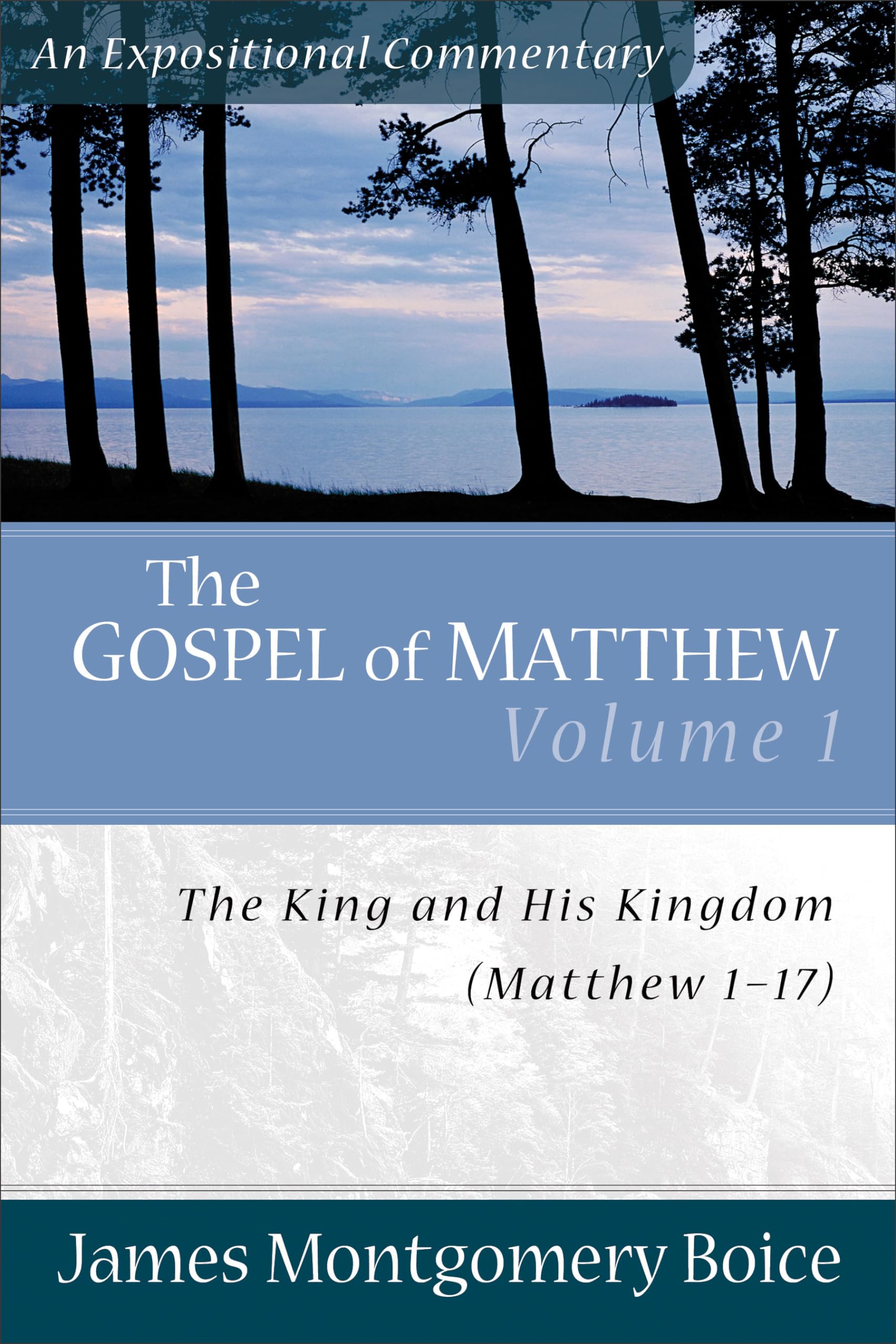 The Gospel of Matthew: The King and His Kingdom, Matthew 117 (Expositional Commentary),Used