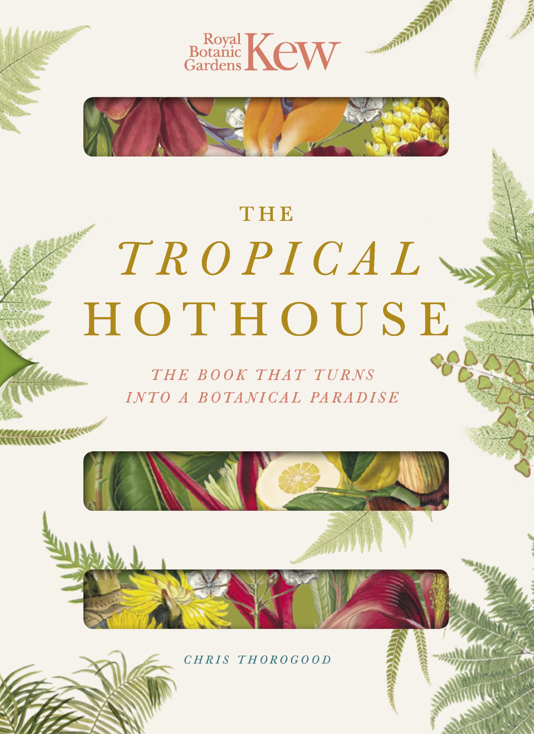 Royal Botanic Gardens Kew  The Tropical Hothouse (Paperscapes),Used