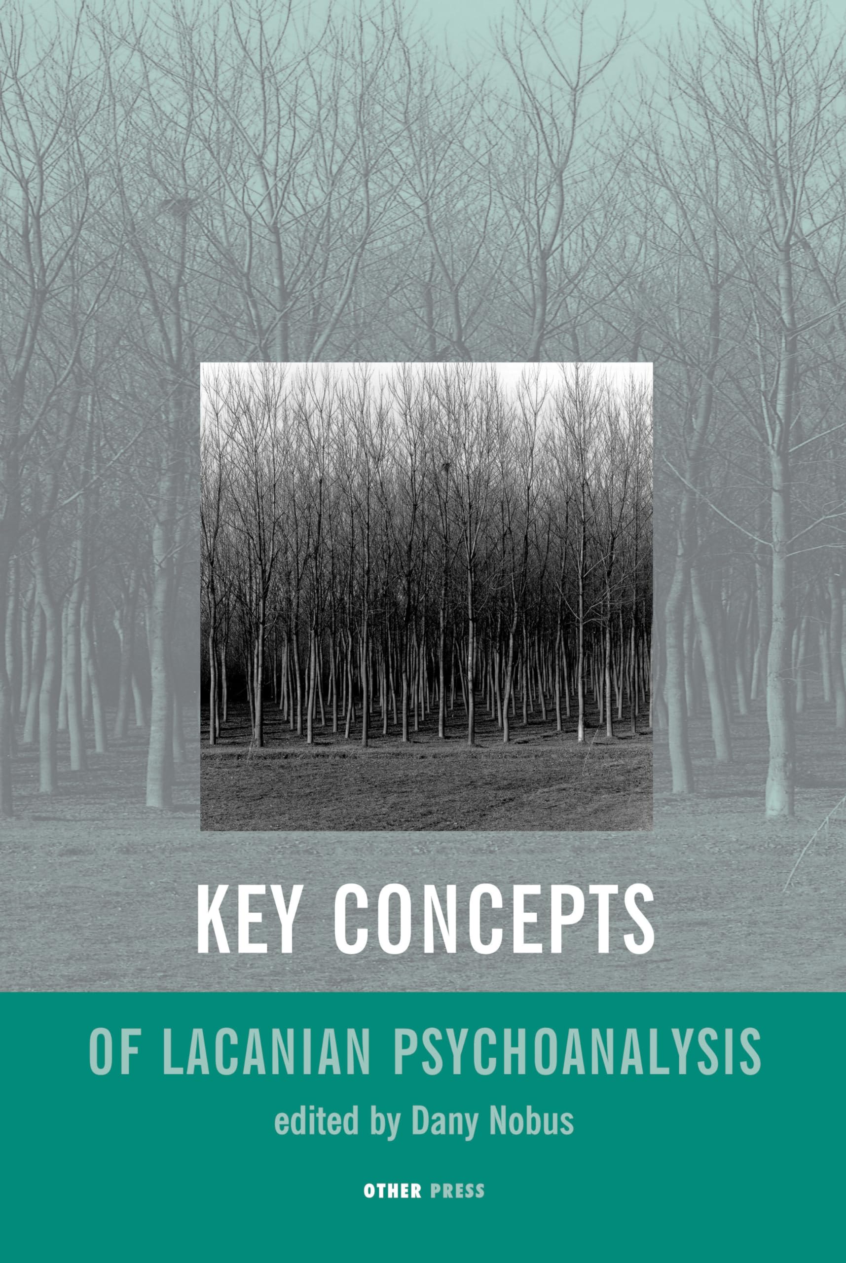 Key Concepts of Lacanian Psychoanalysis,Used