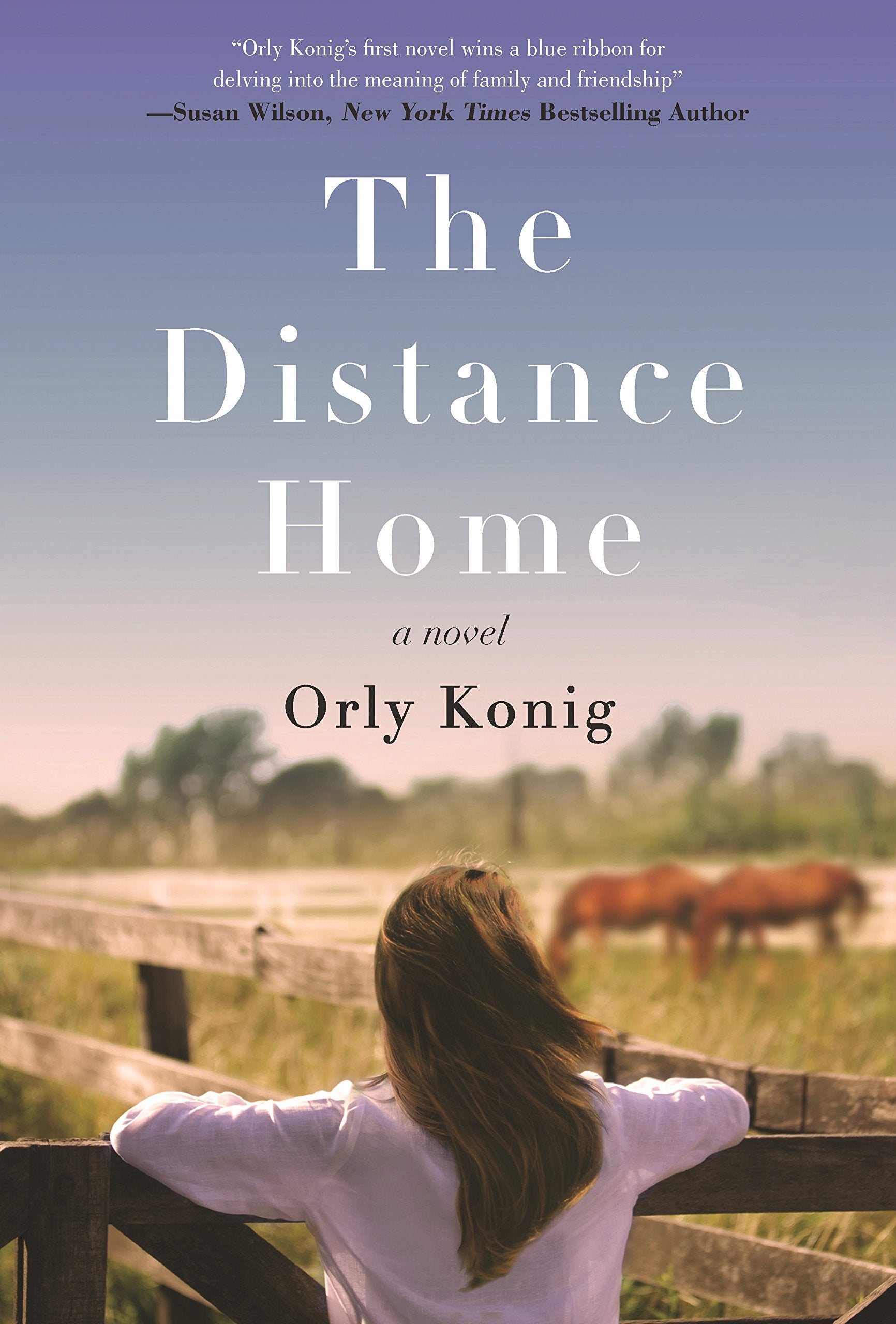 The Distance Home: A Novel,Used