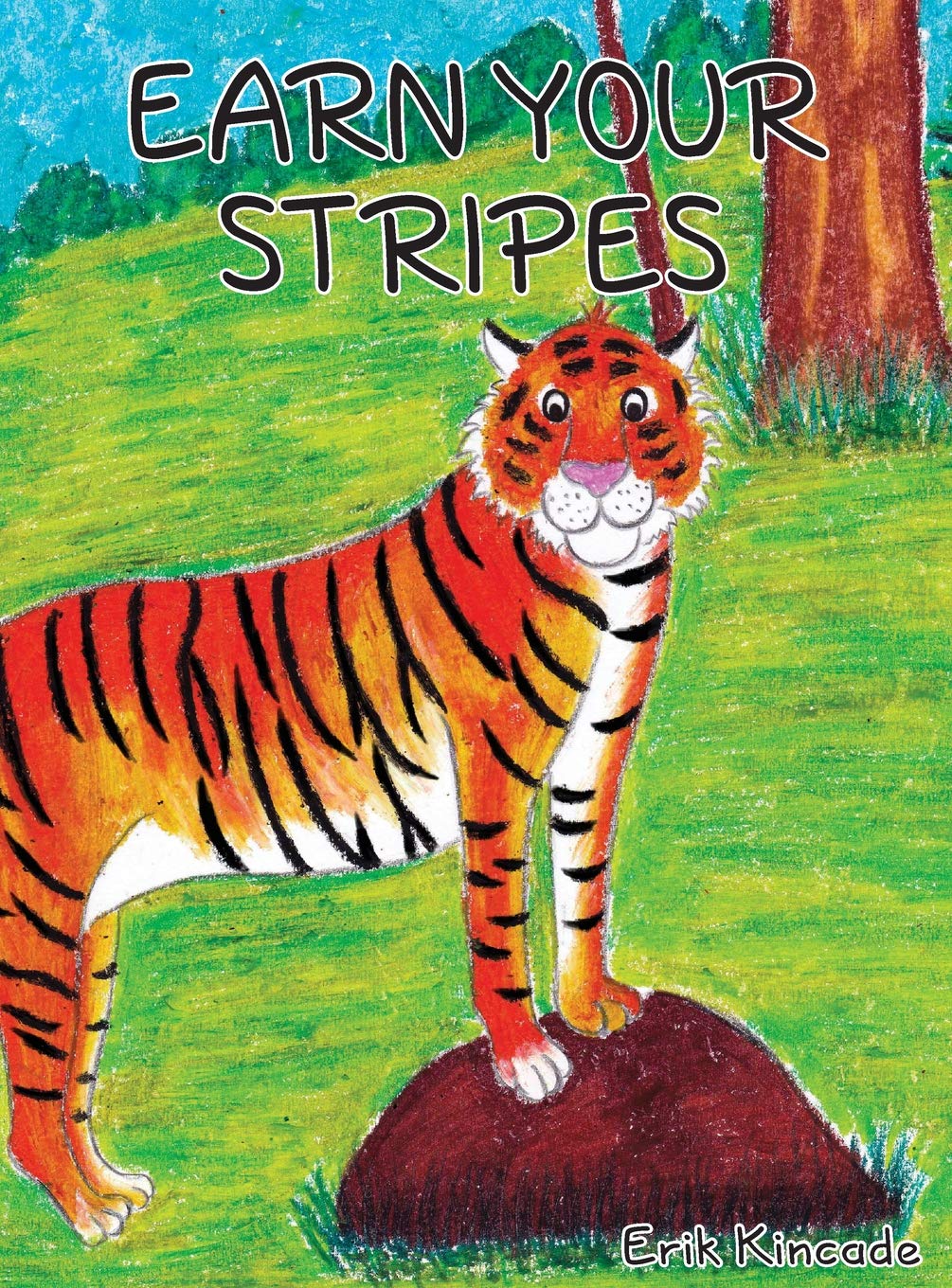 Earn Your Stripes,Used