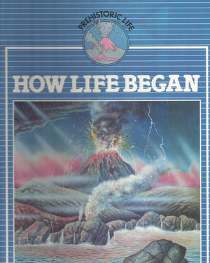 How Life Began (Prehistoric Life),Used