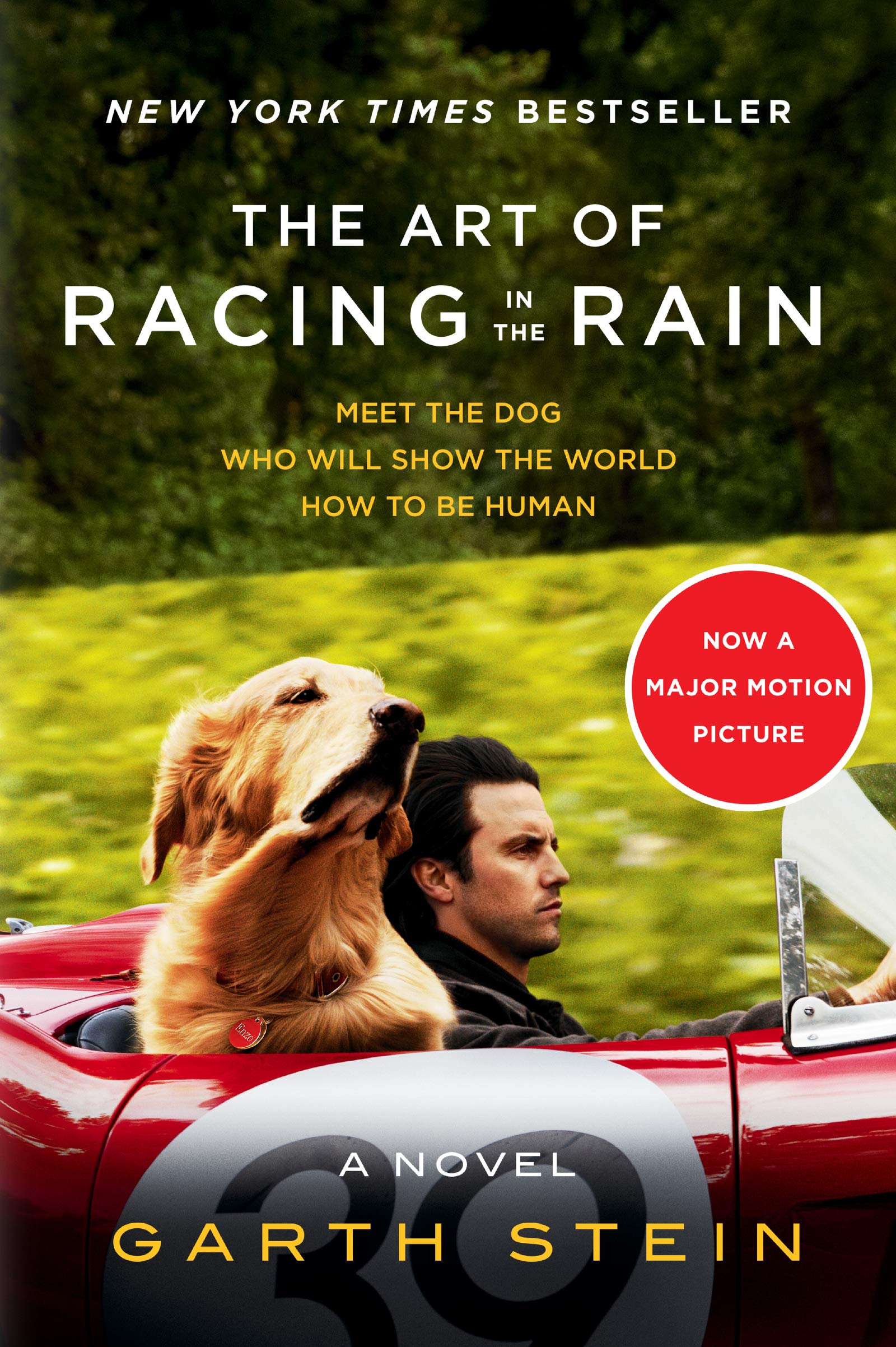 The Art of Racing in the Rain Tiein: A Novel,Used