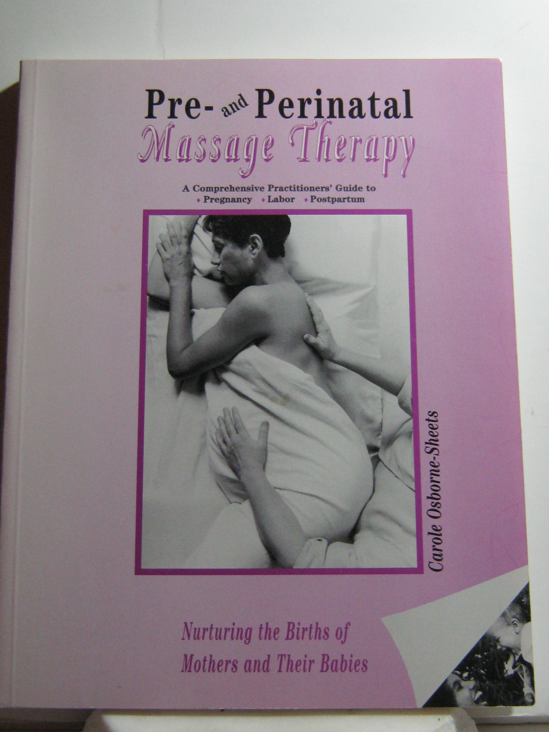 Pre and Perinatal Massage Therapy: A Comprehensive Practioners' Guide to Pregnancy, Labor, Postpartum,Used
