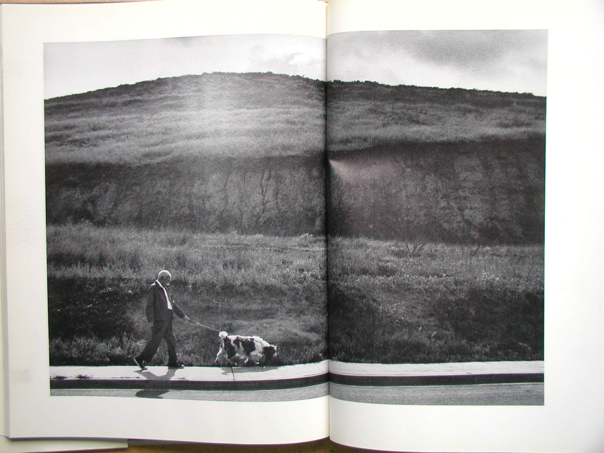 Graphic Photo Design,Used