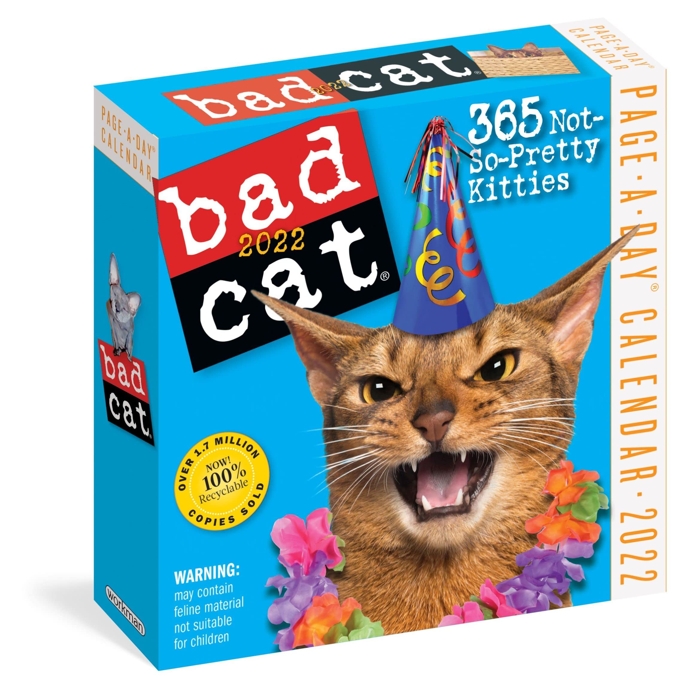 Bad Cat Pageaday Calendar 2022: 365 Not So Pretty Kitties