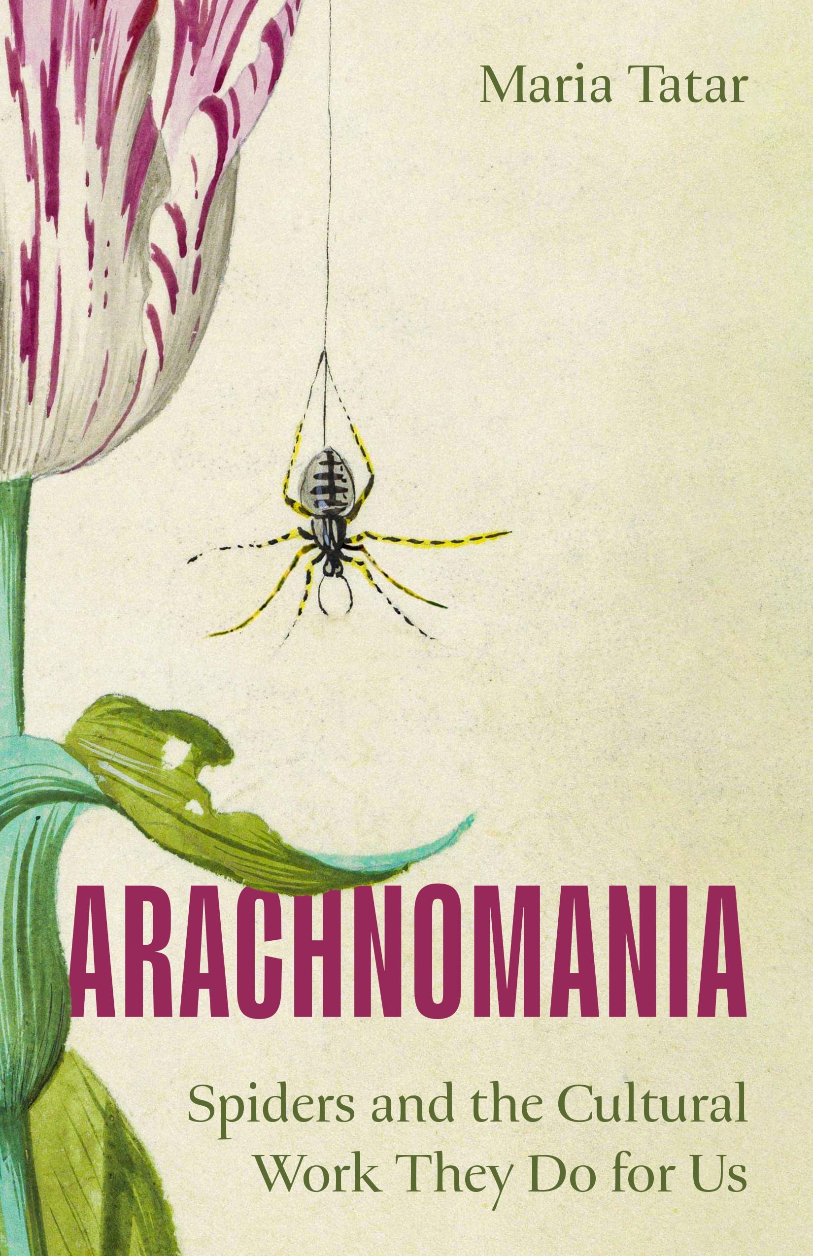Arachnomania: Spiders And The Cultural Work They Do For Us
