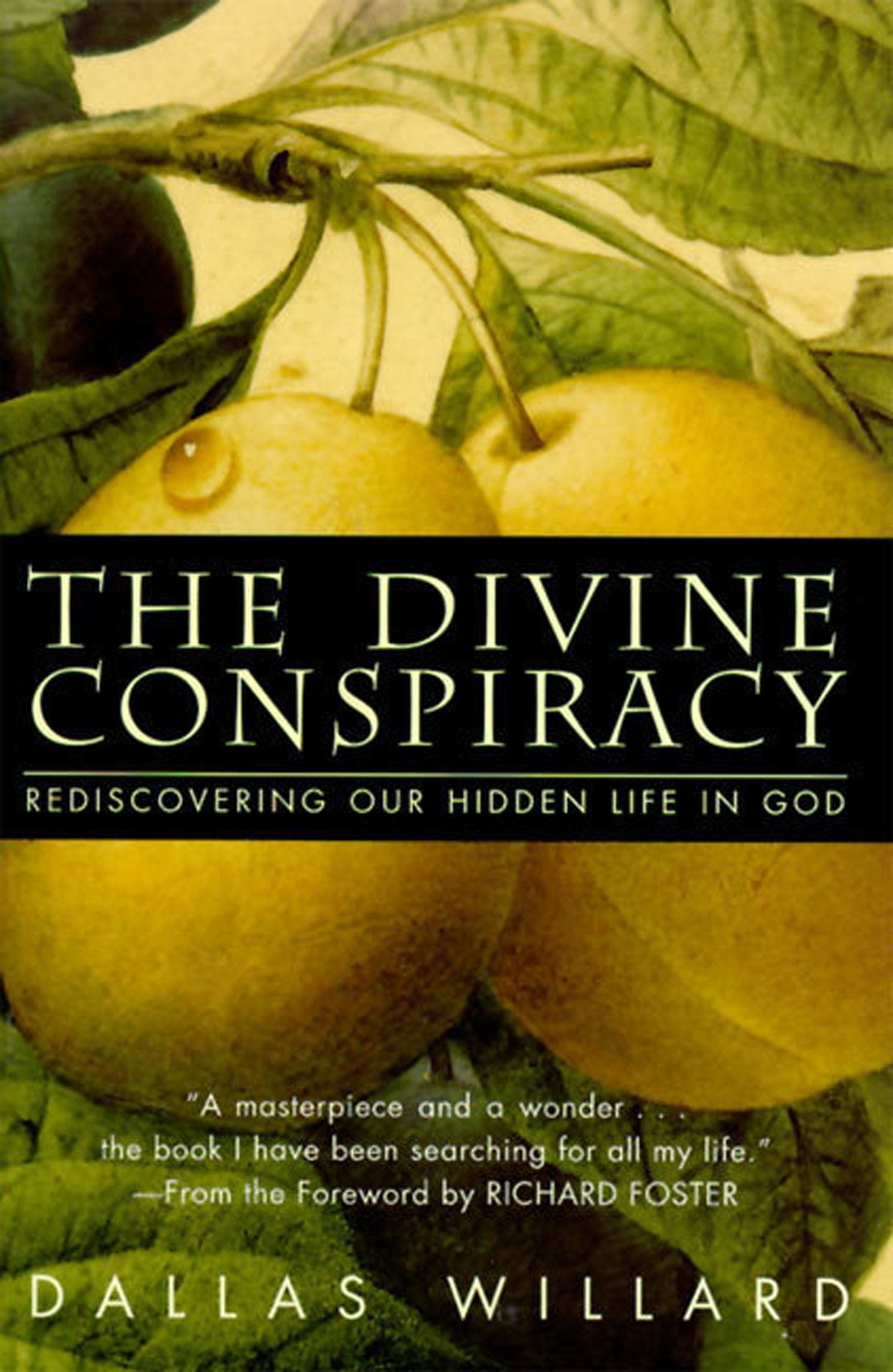The Divine Conspiracy: Rediscovering Our Hidden Life In God,Used