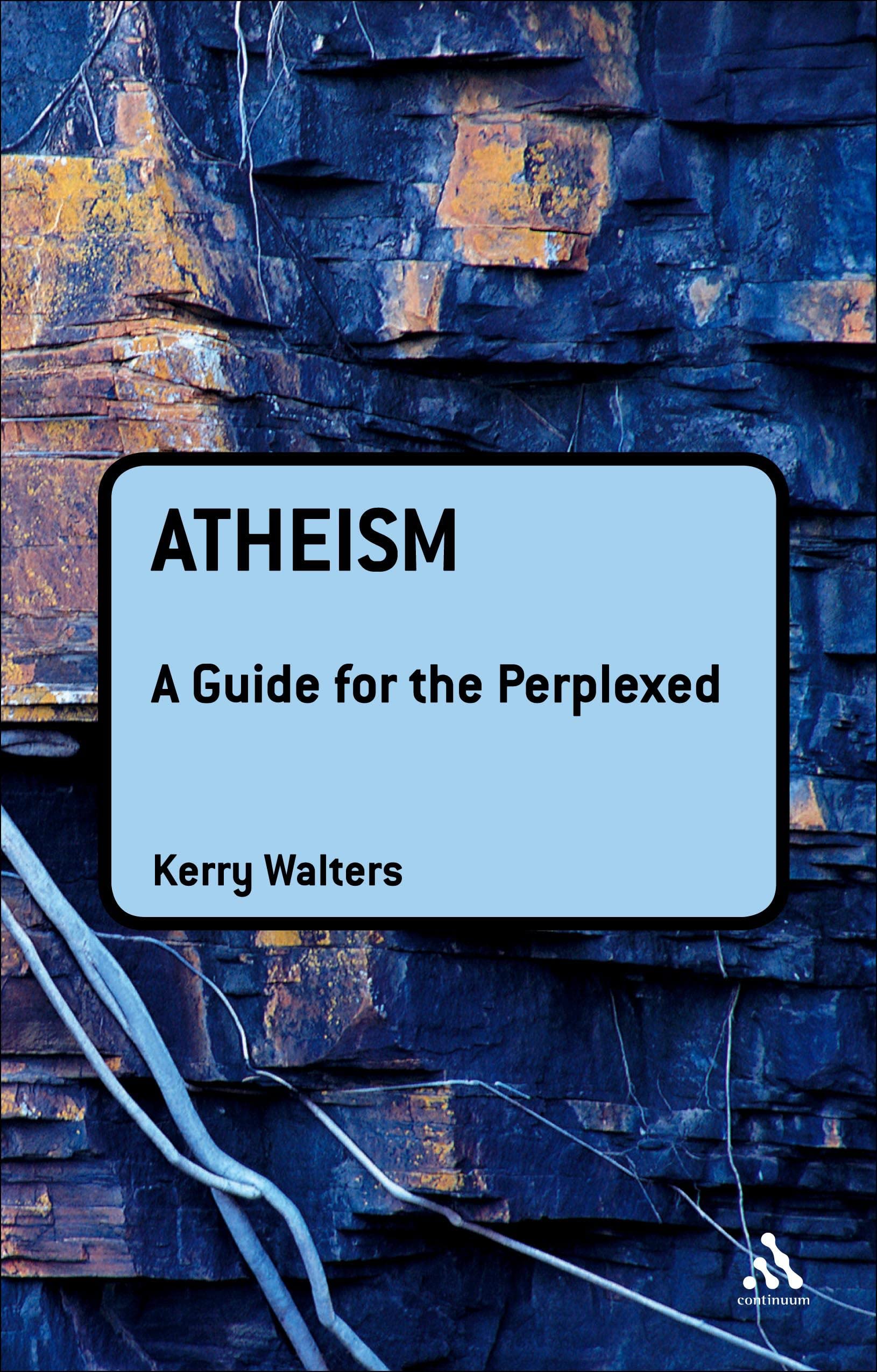 Atheism: A Guide For The Perplexed (Guides For The Perplexed),Used