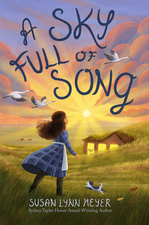 A Sky Full of Song,Used