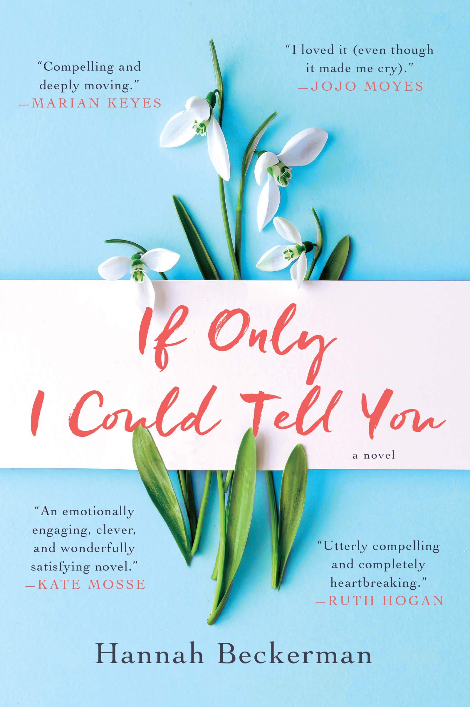 If Only I Could Tell You: A Novel,Used